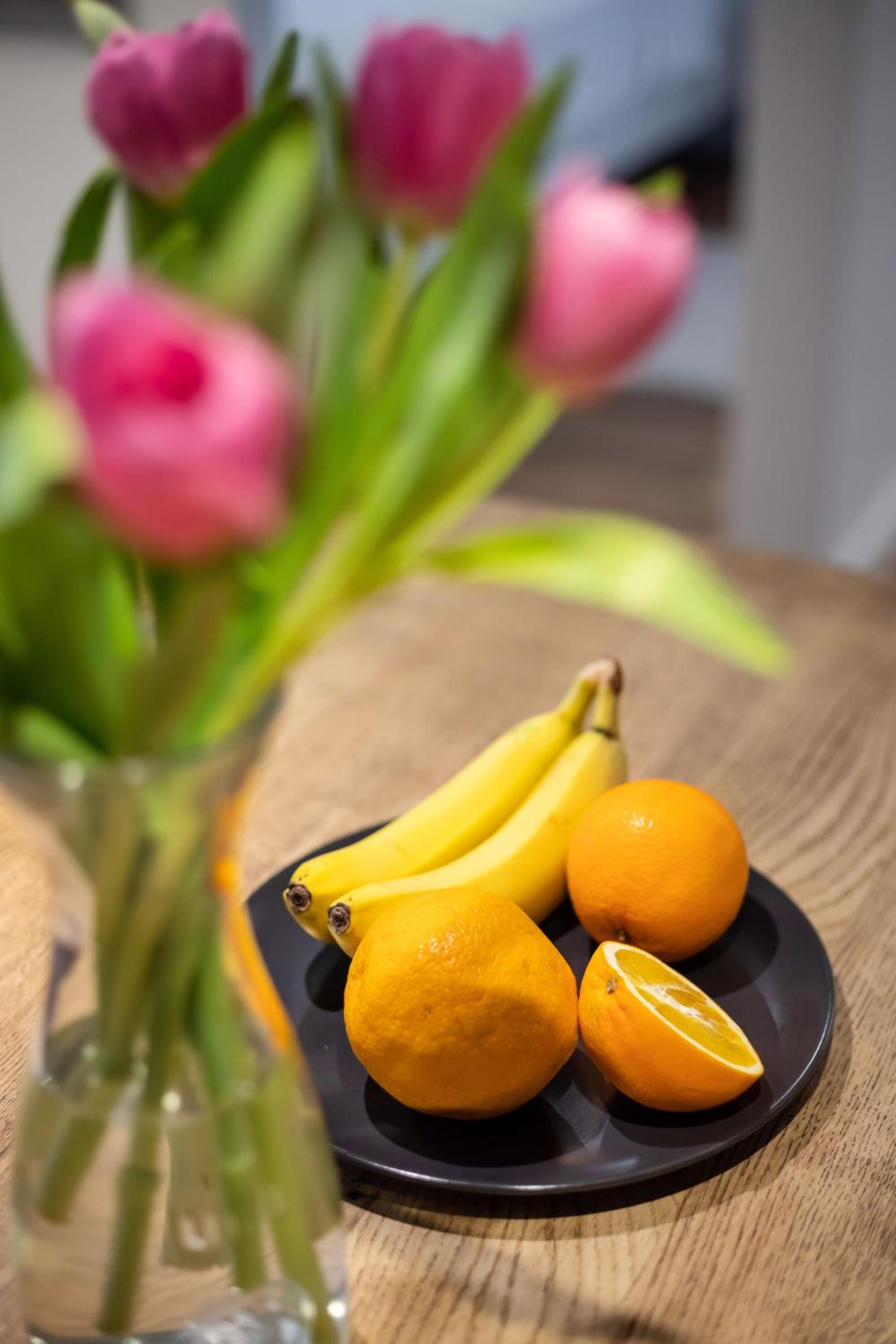 City Center Sanctuary Modern Business-Class Studio with Free Parking in the Heart of Vilnius