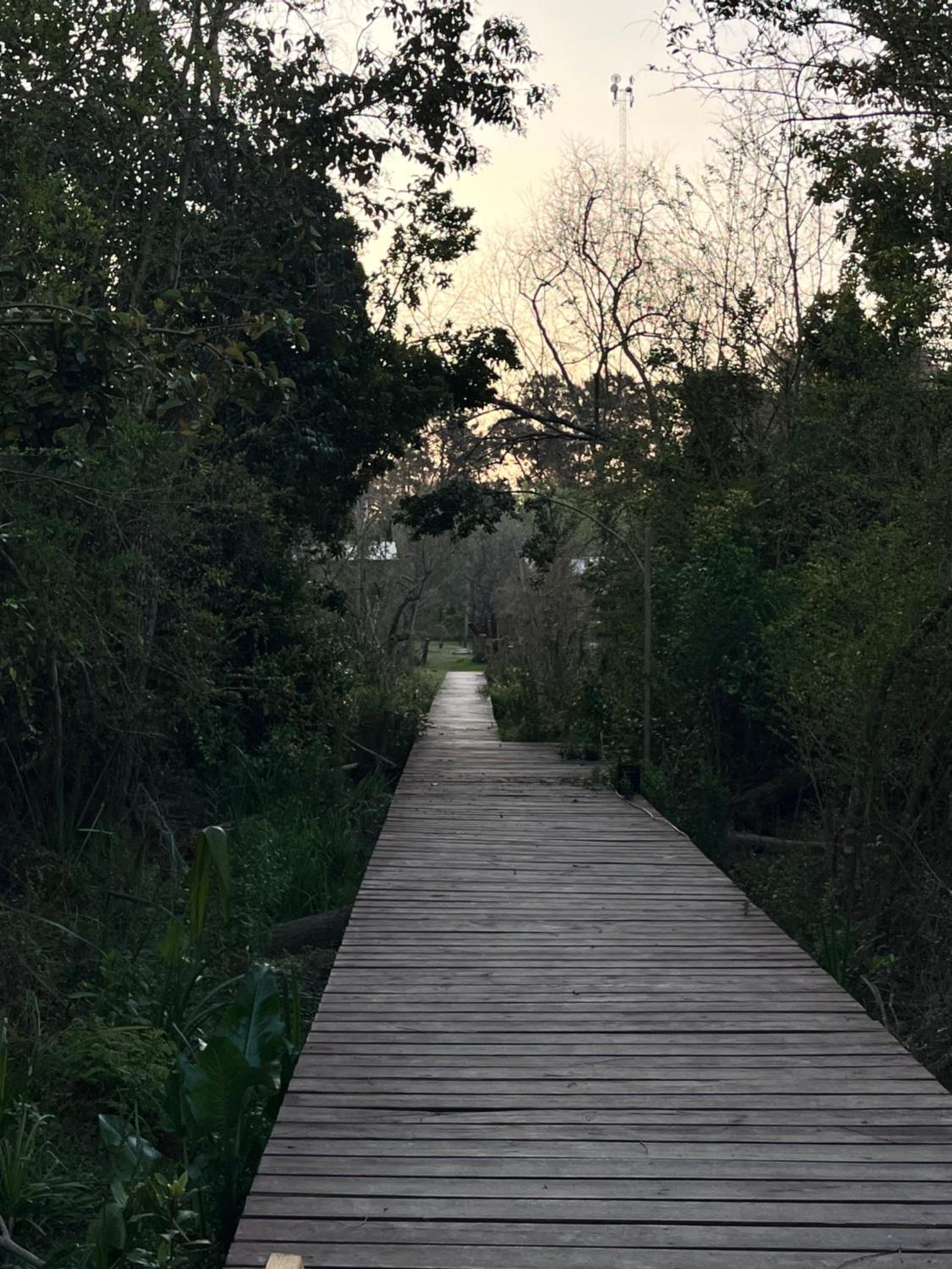 Cabaña Magnolia en Marea Delta del Tigre