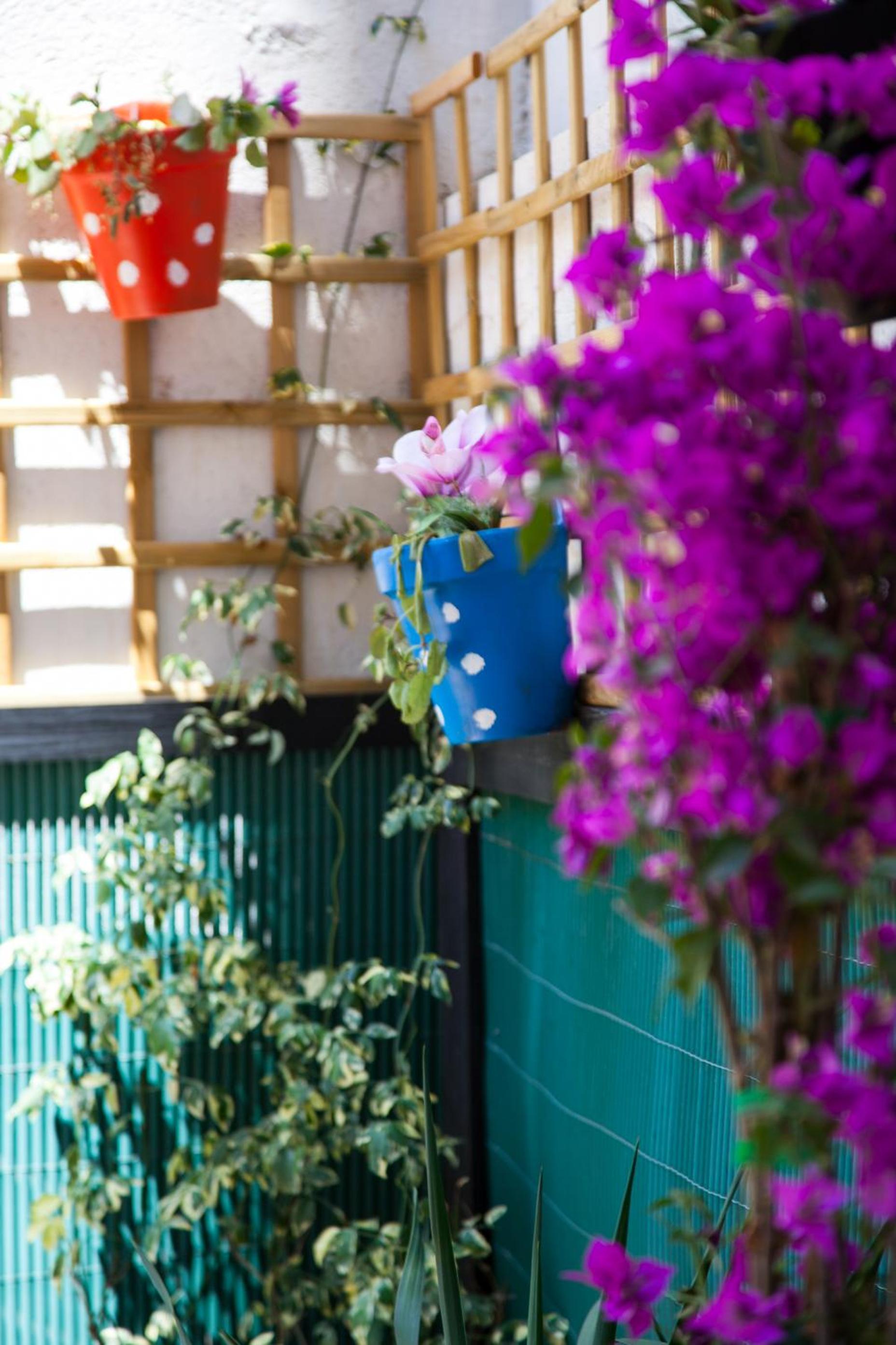 Apartamento Rosellón