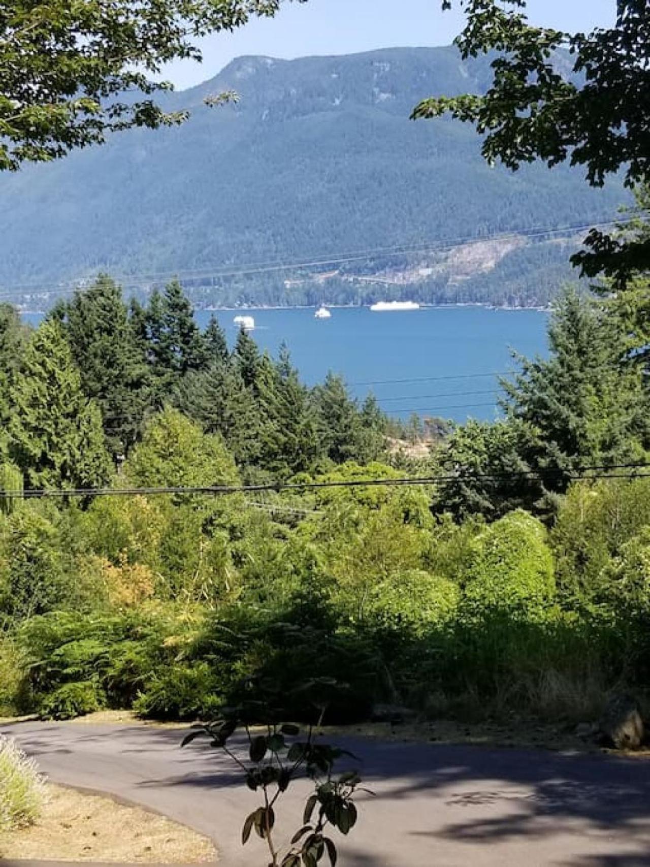 Hummingbird Hut
