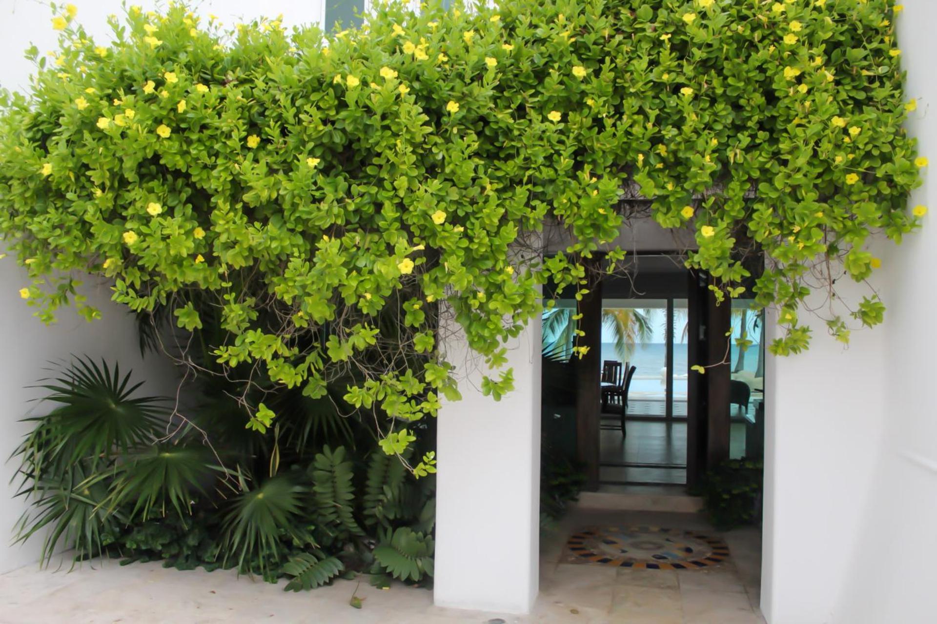 Villa Santorini