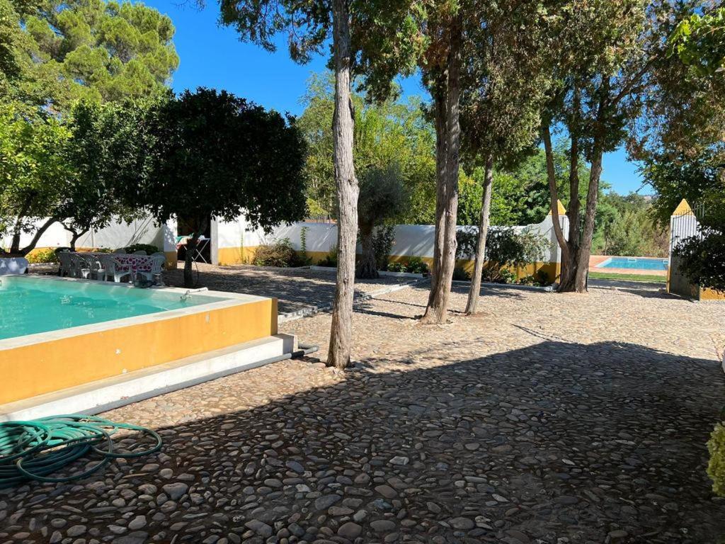 Quinta de SantAna da Várzea view 2