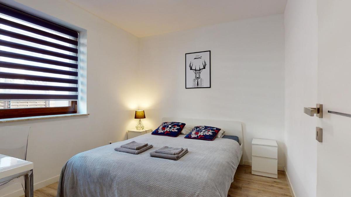 Apartament Fibra Americano view 4