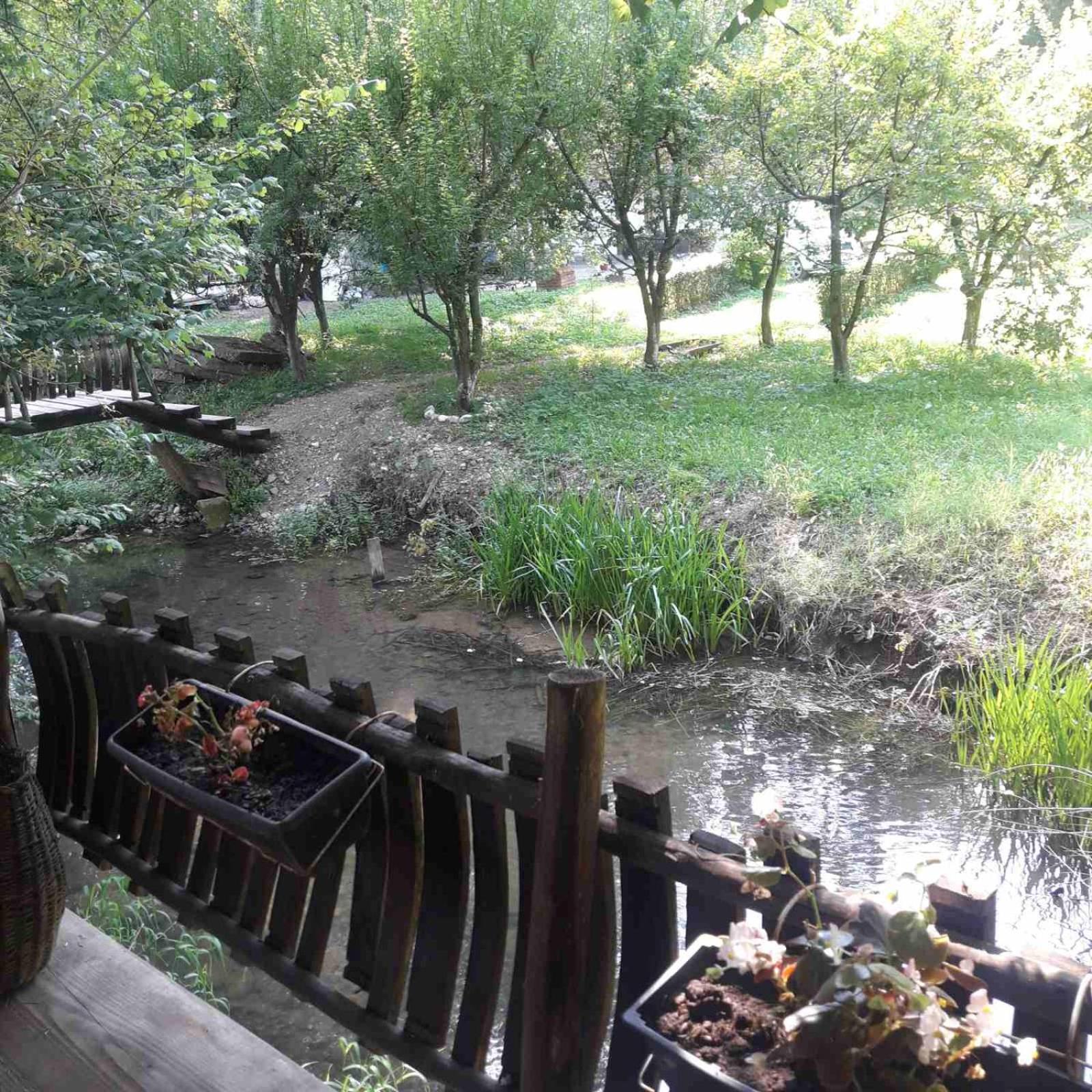 Sljivik