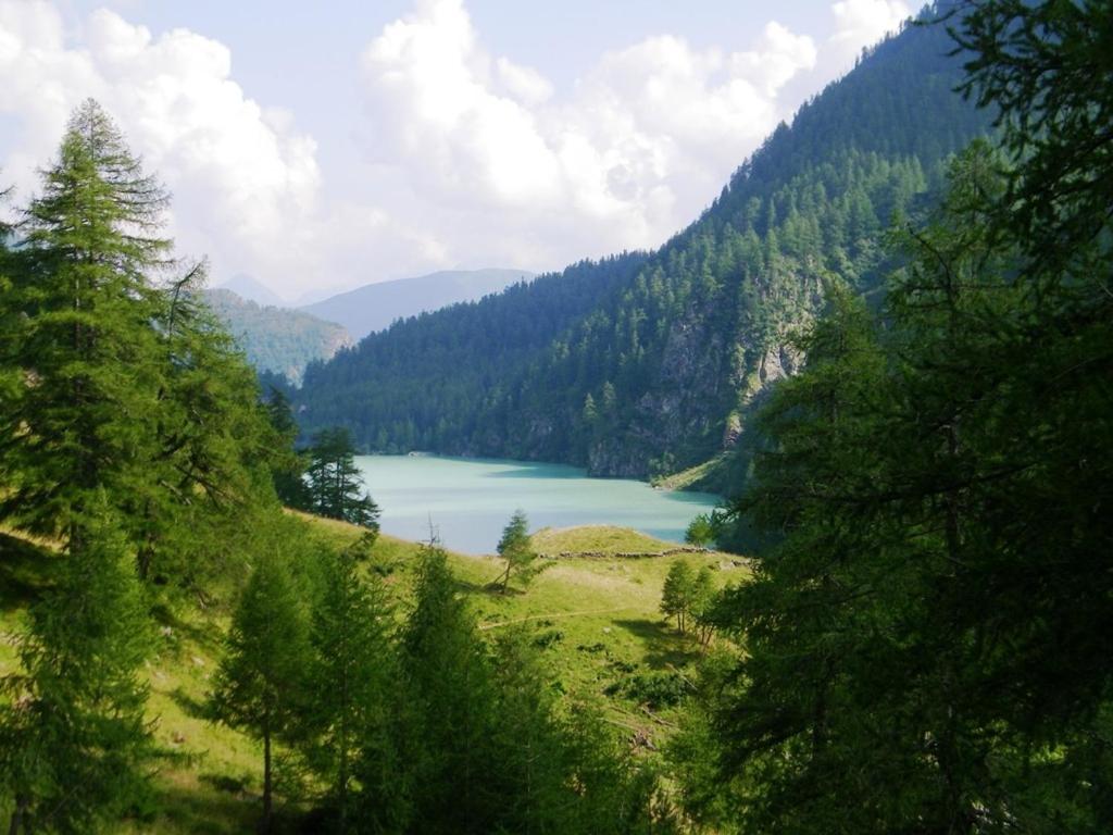 Photo 43