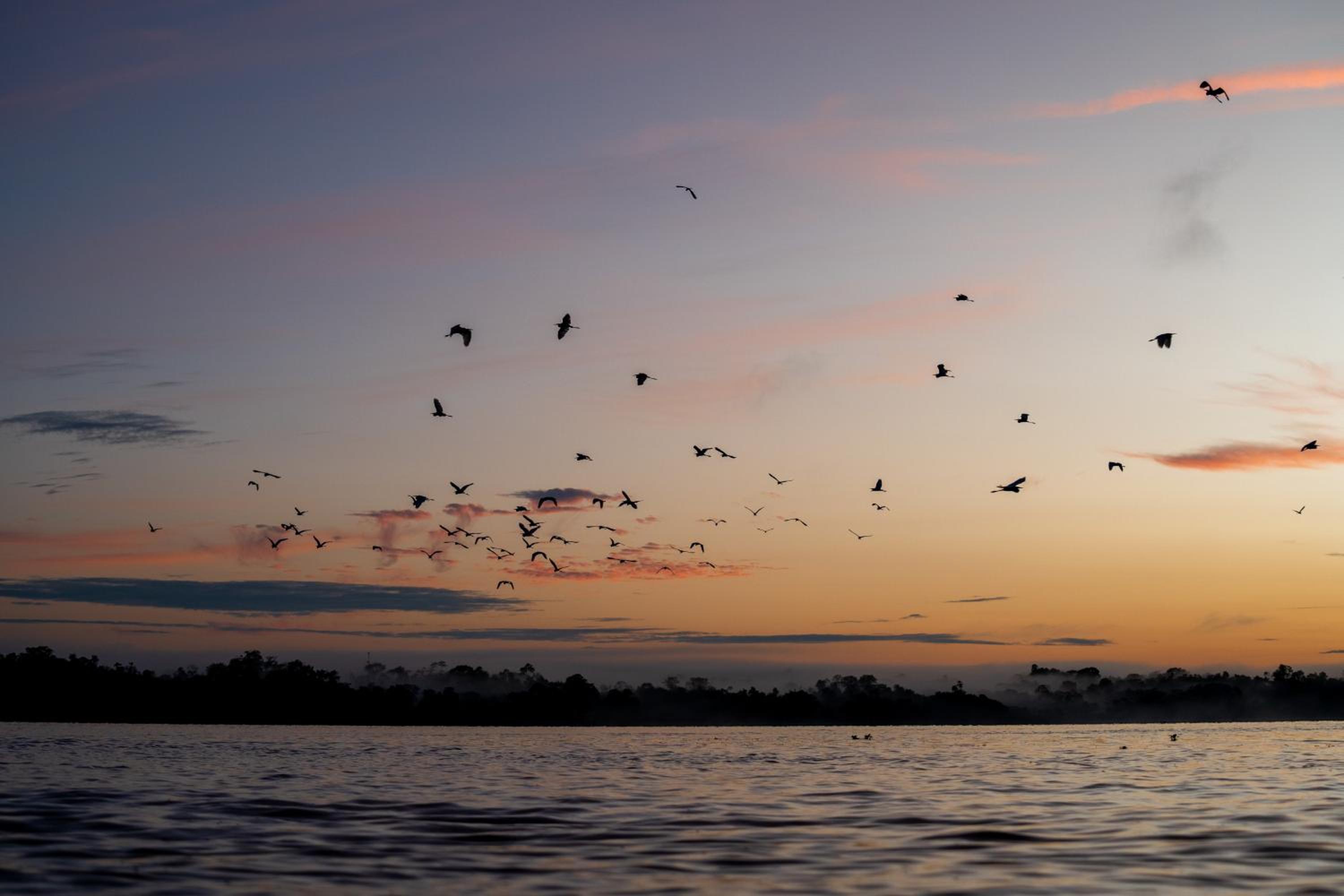 Ämak Iquitos Ecolodge - All Inclusive