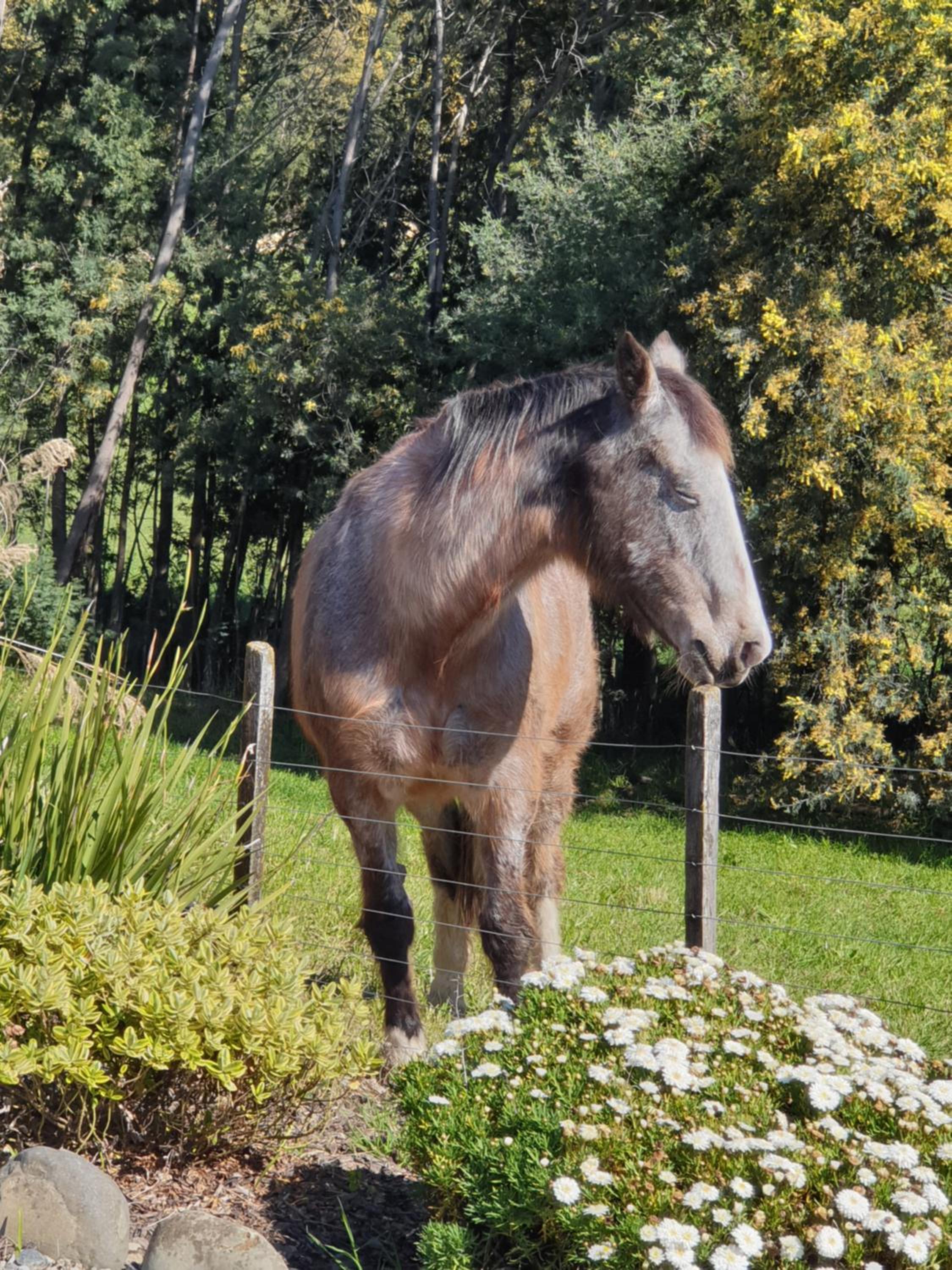 Blue Bell Cottage. Serene luxury farmstead view 4