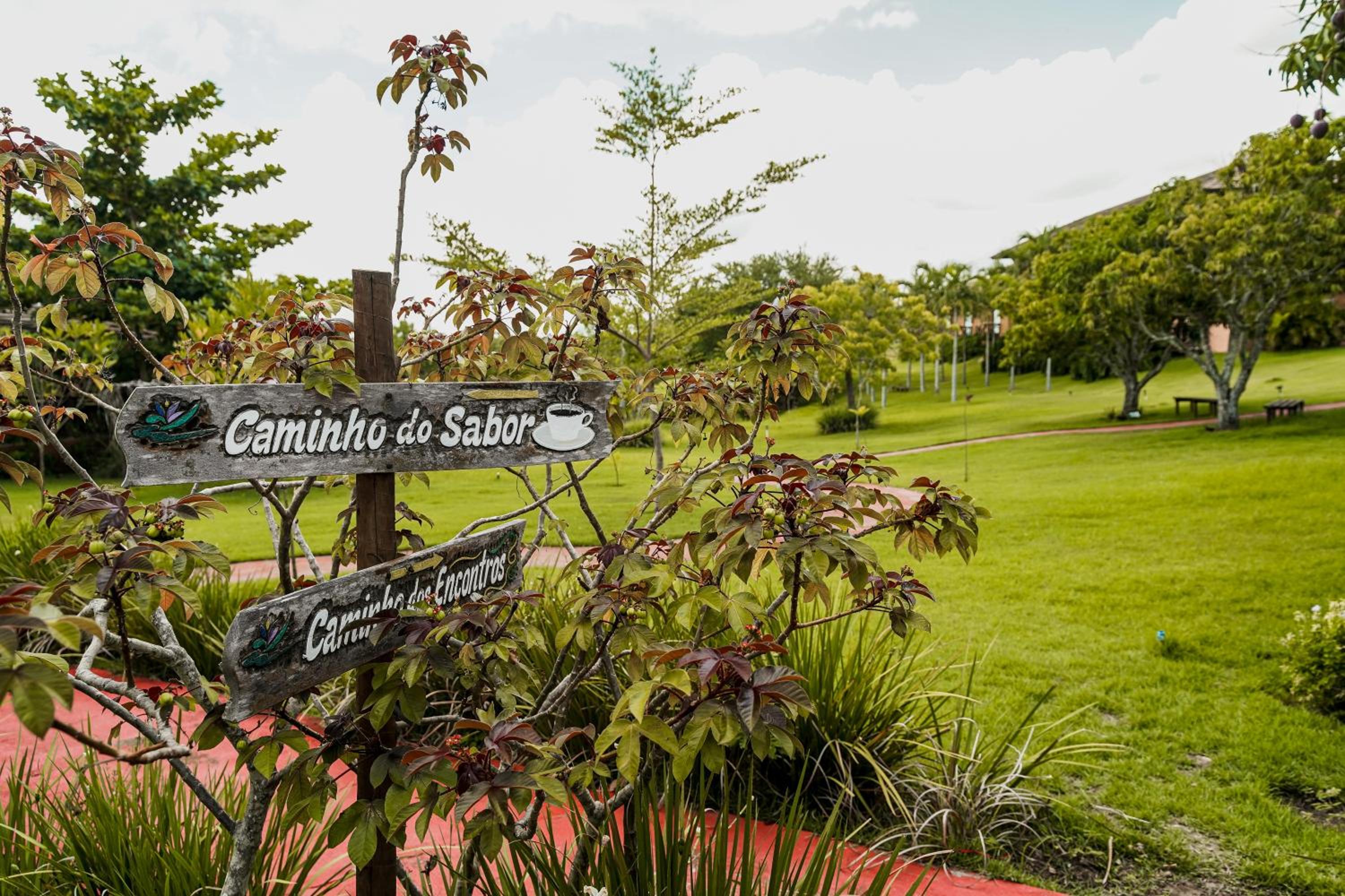 Eco Resort Pedra Bonita