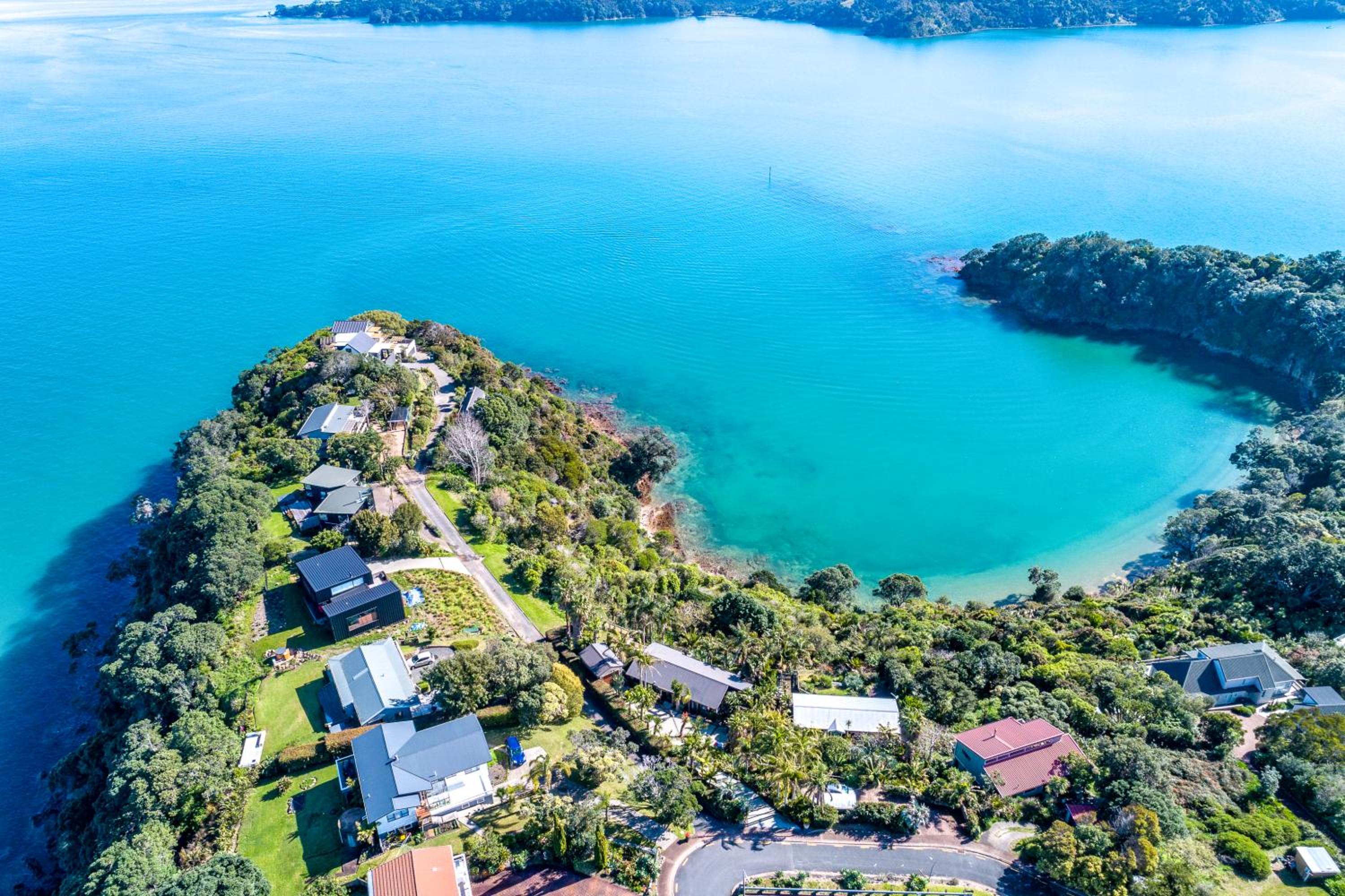 Palms on Kennedy Point - Stay Waiheke view 3