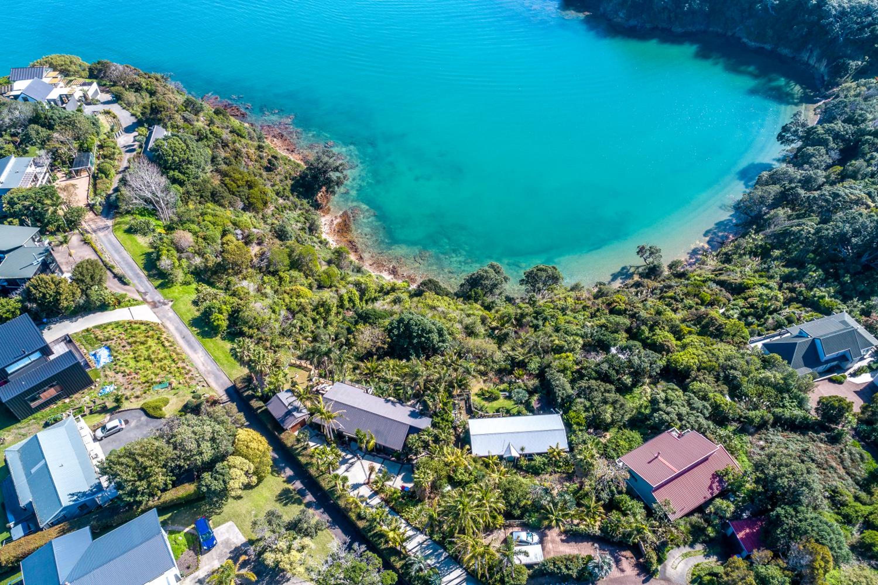 Palms on Kennedy Point - Stay Waiheke view 4