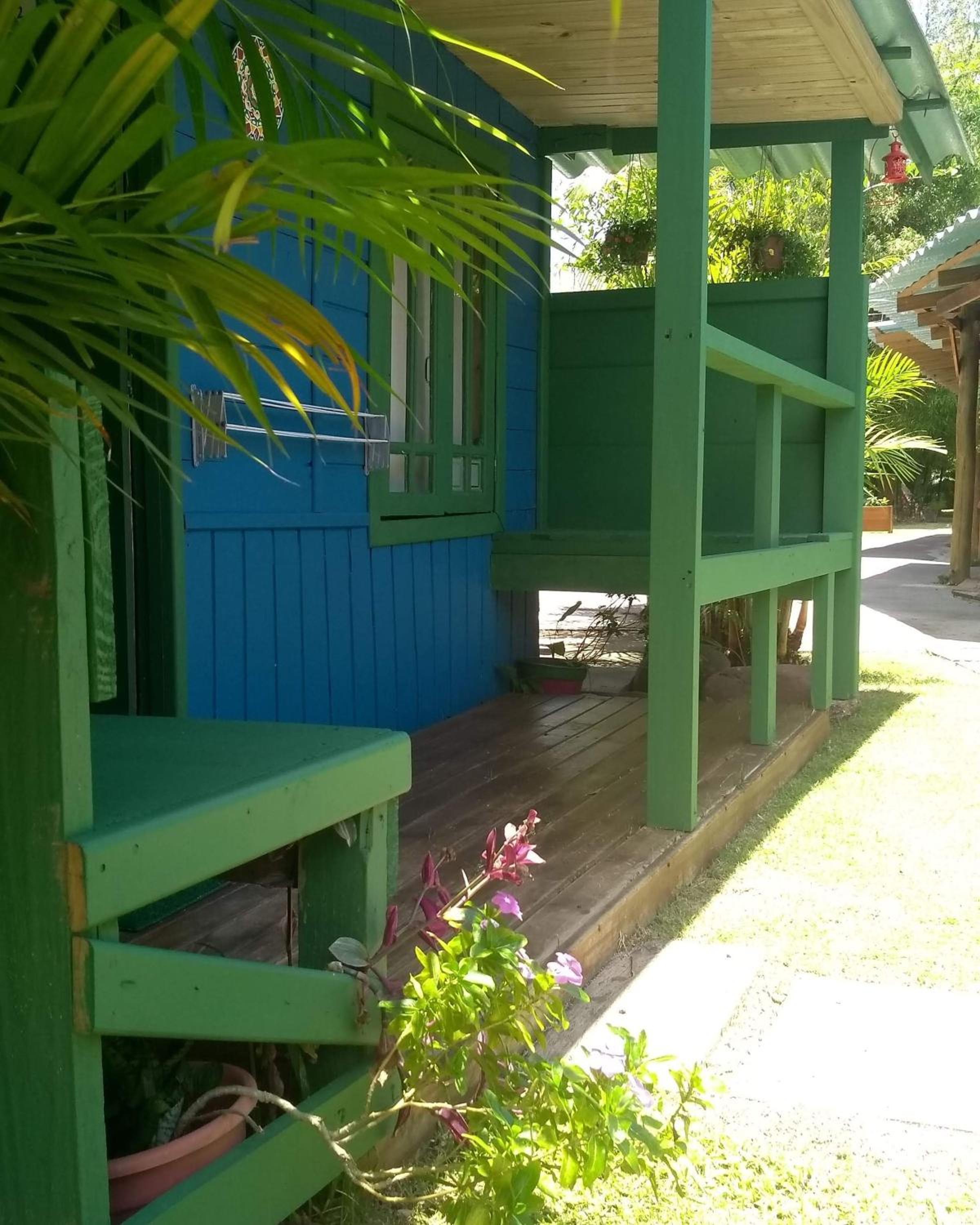 Photo 11