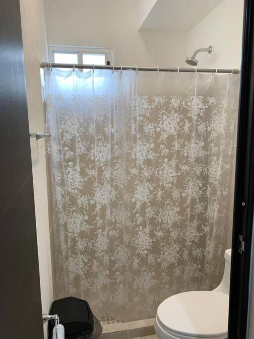 Hermoso apartamento piscina, céntrico, área libre.