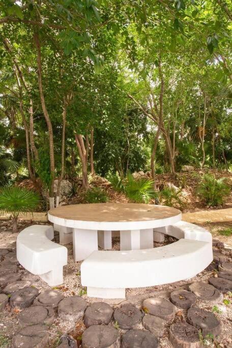 Hermoso apartamento piscina, céntrico, área libre.