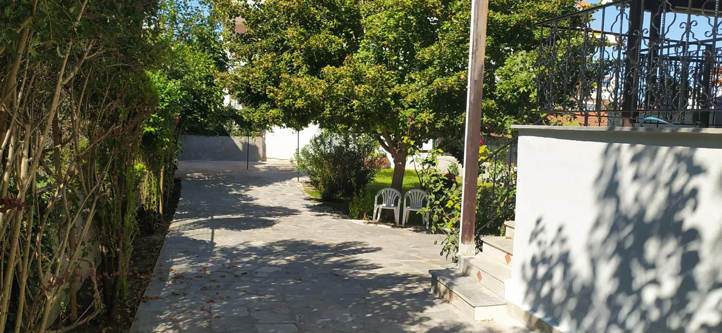 Photo 7
