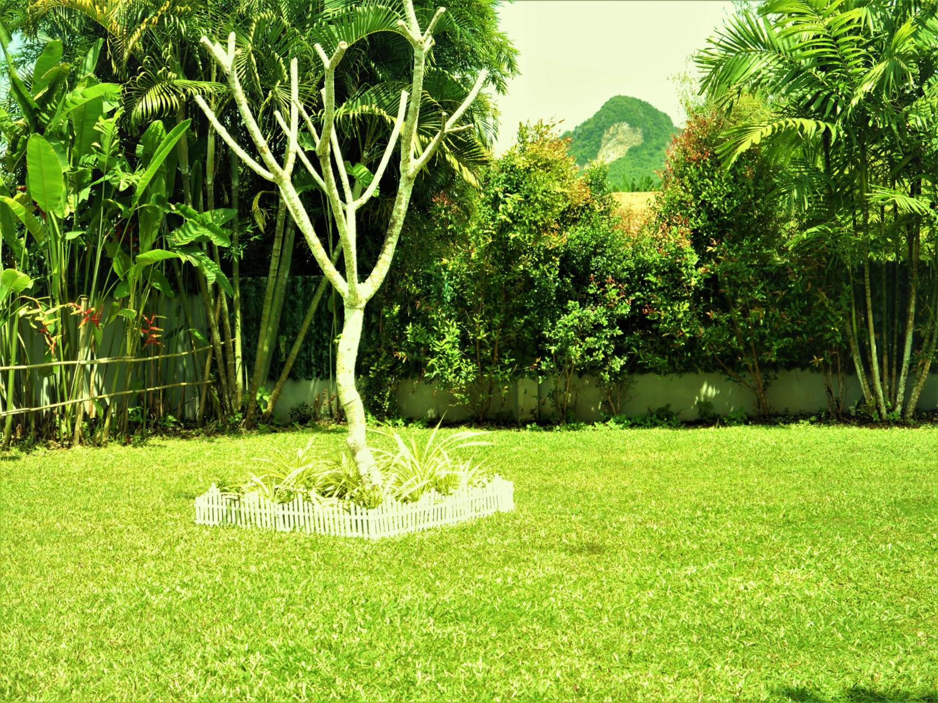 Photo 38