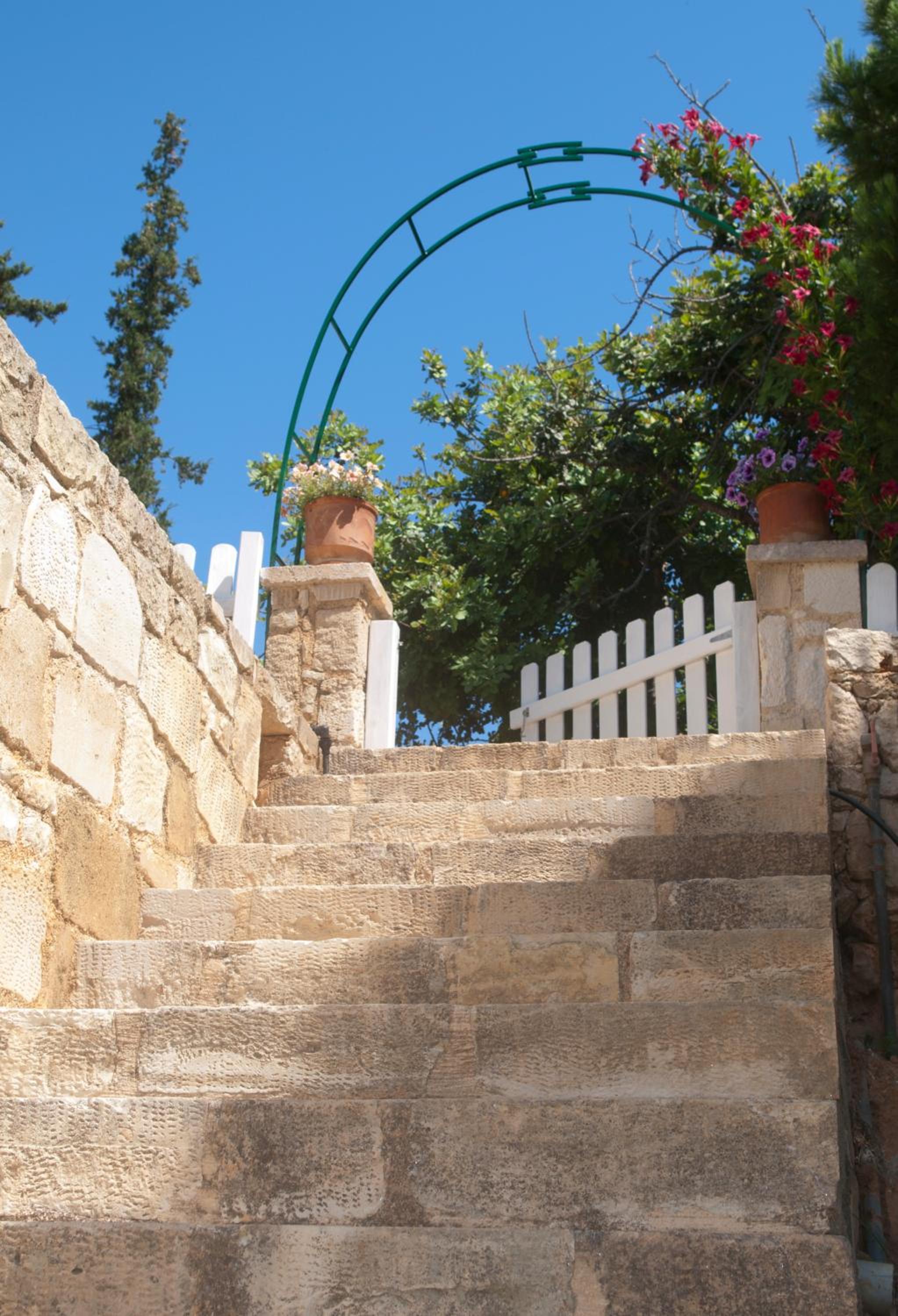 Photo 41