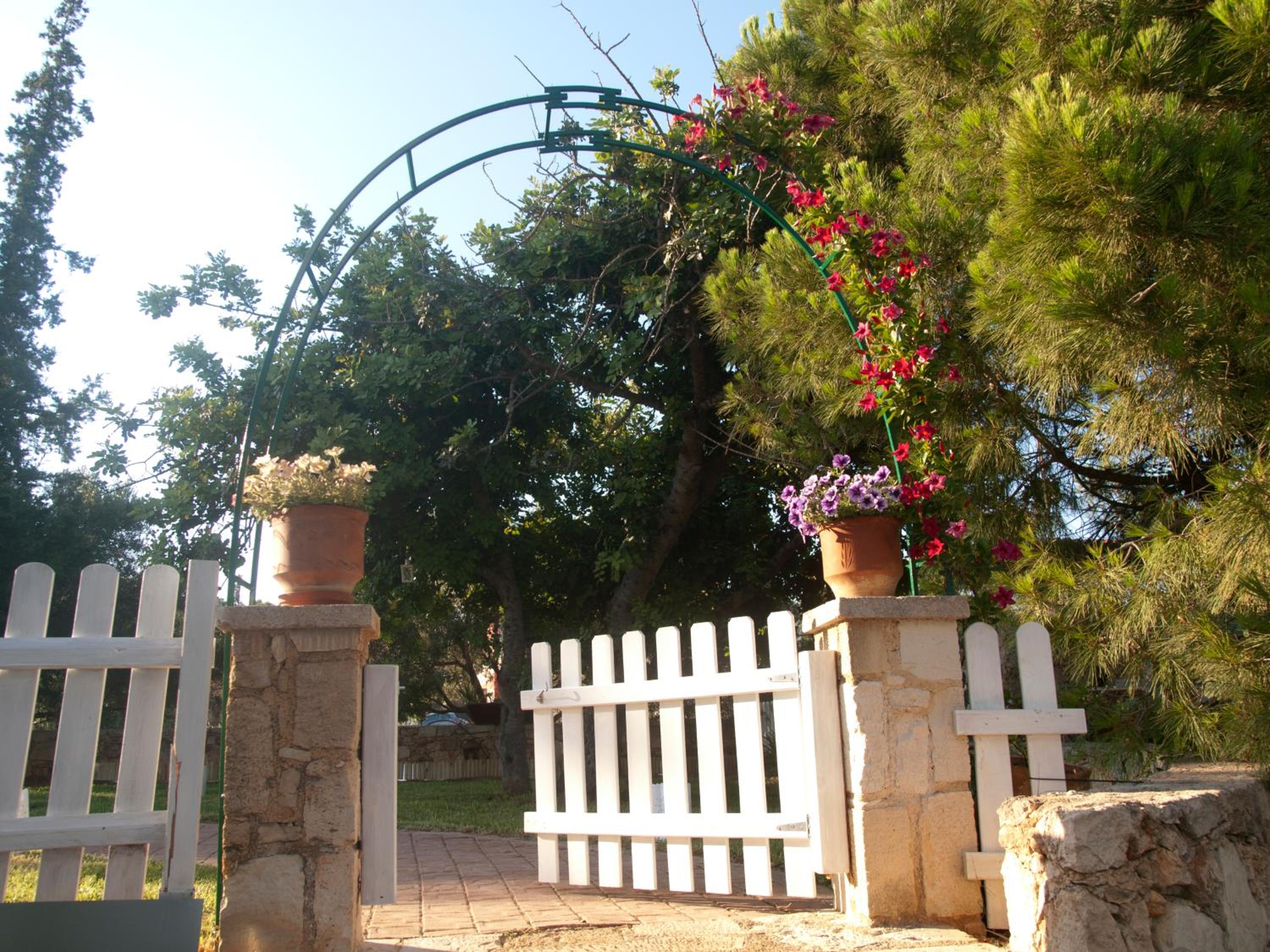 Photo 42