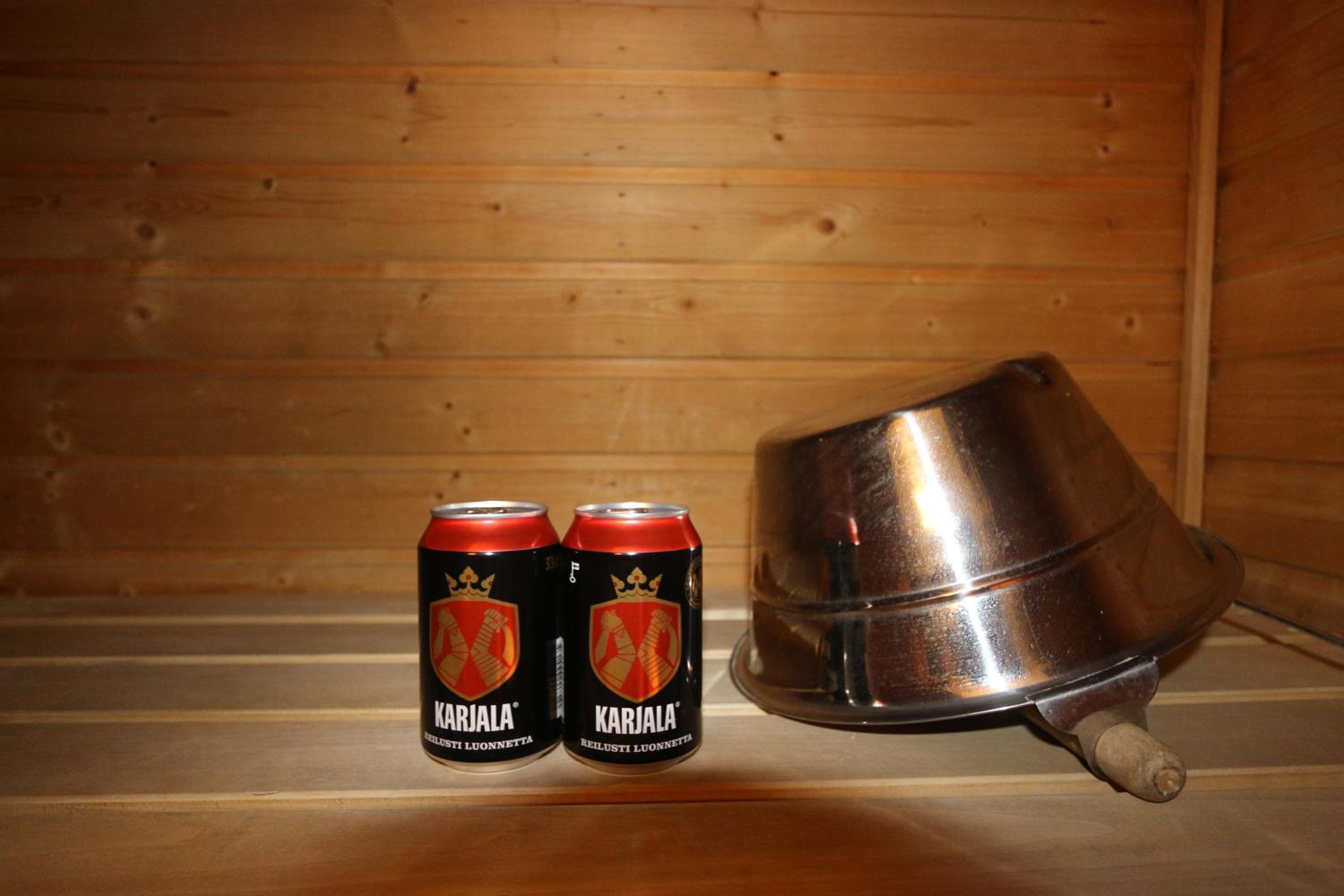 1-Bedroom Apartment with Sauna view 4