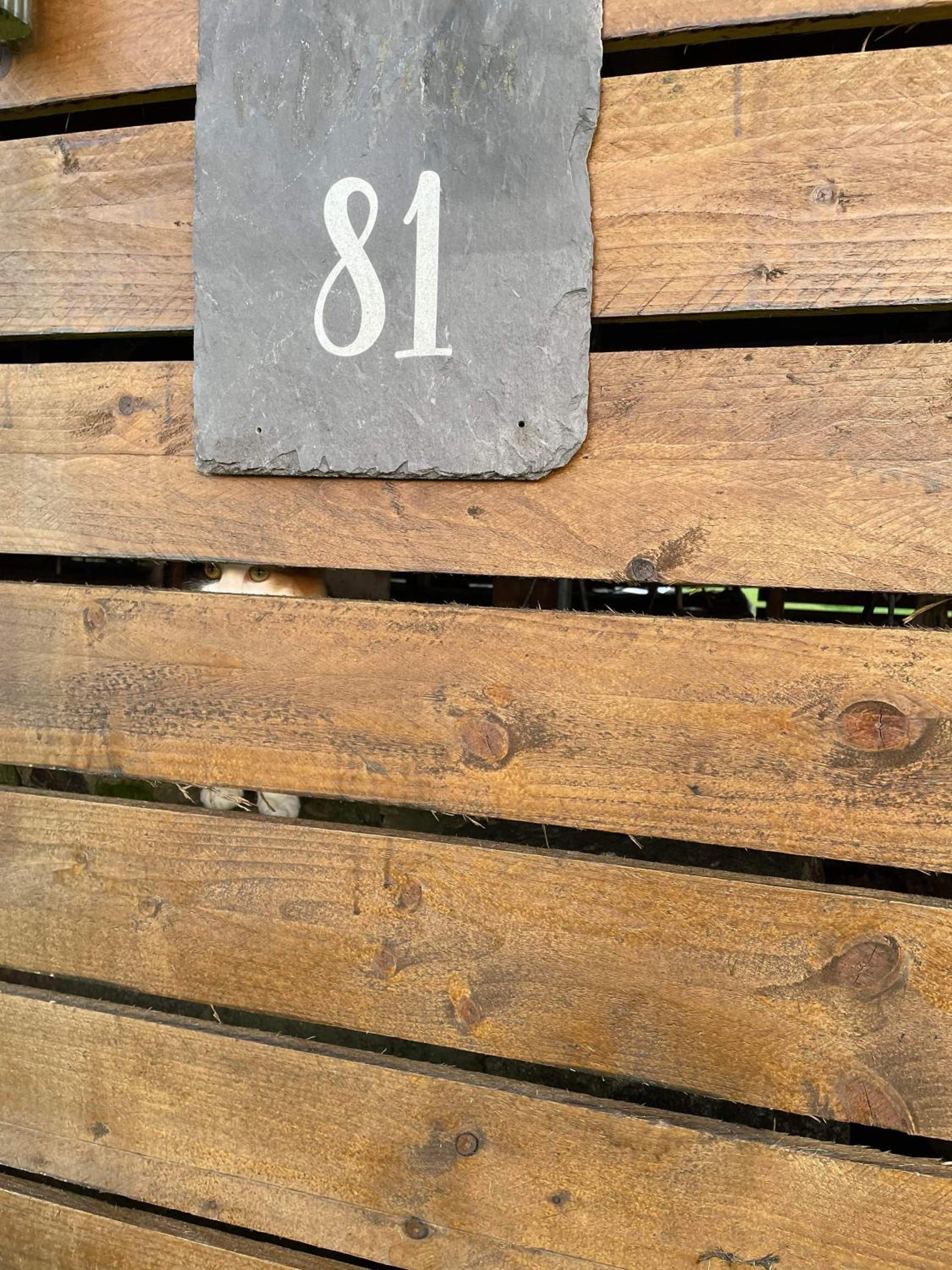 Photo 29