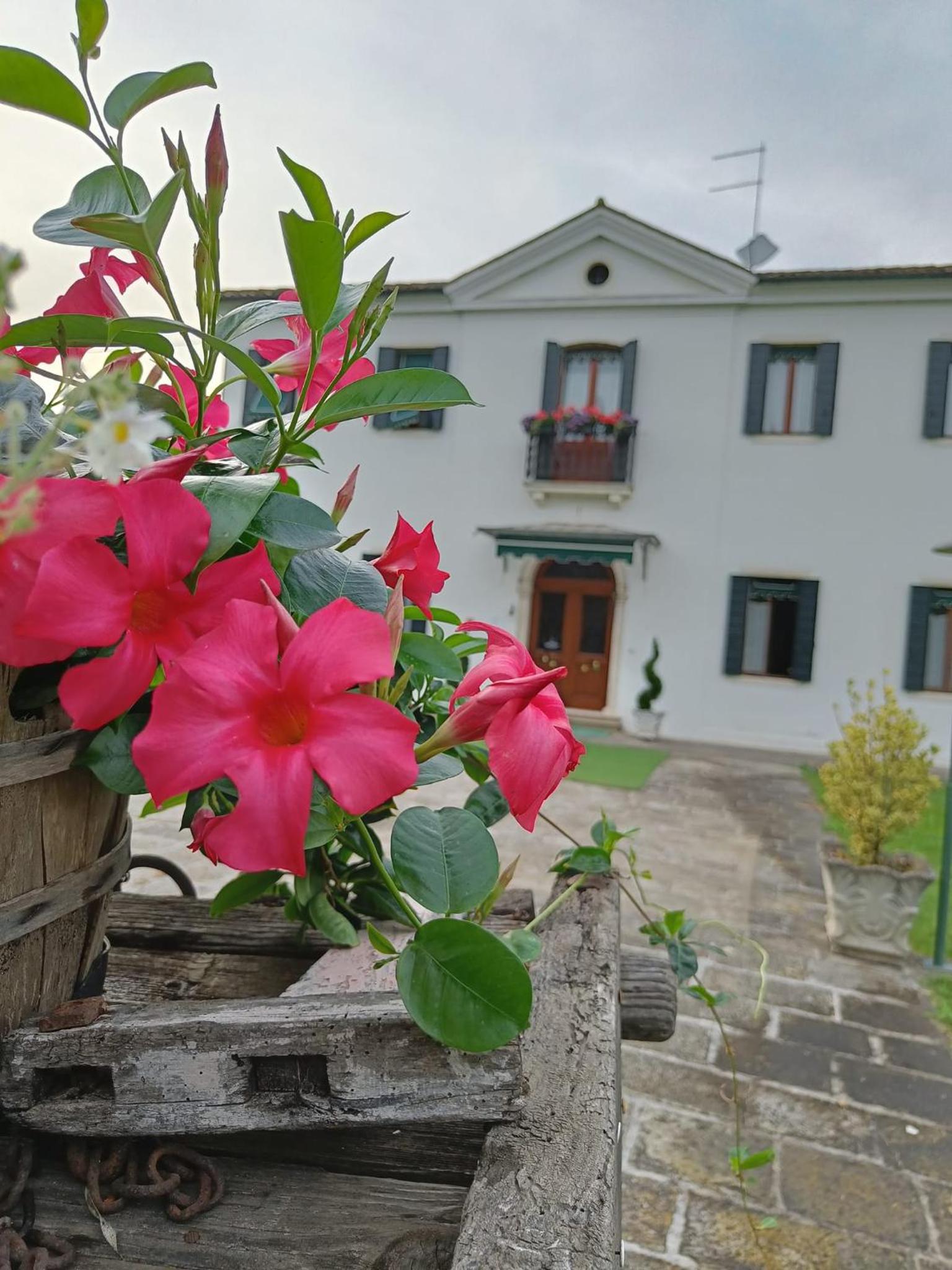 Photo 44