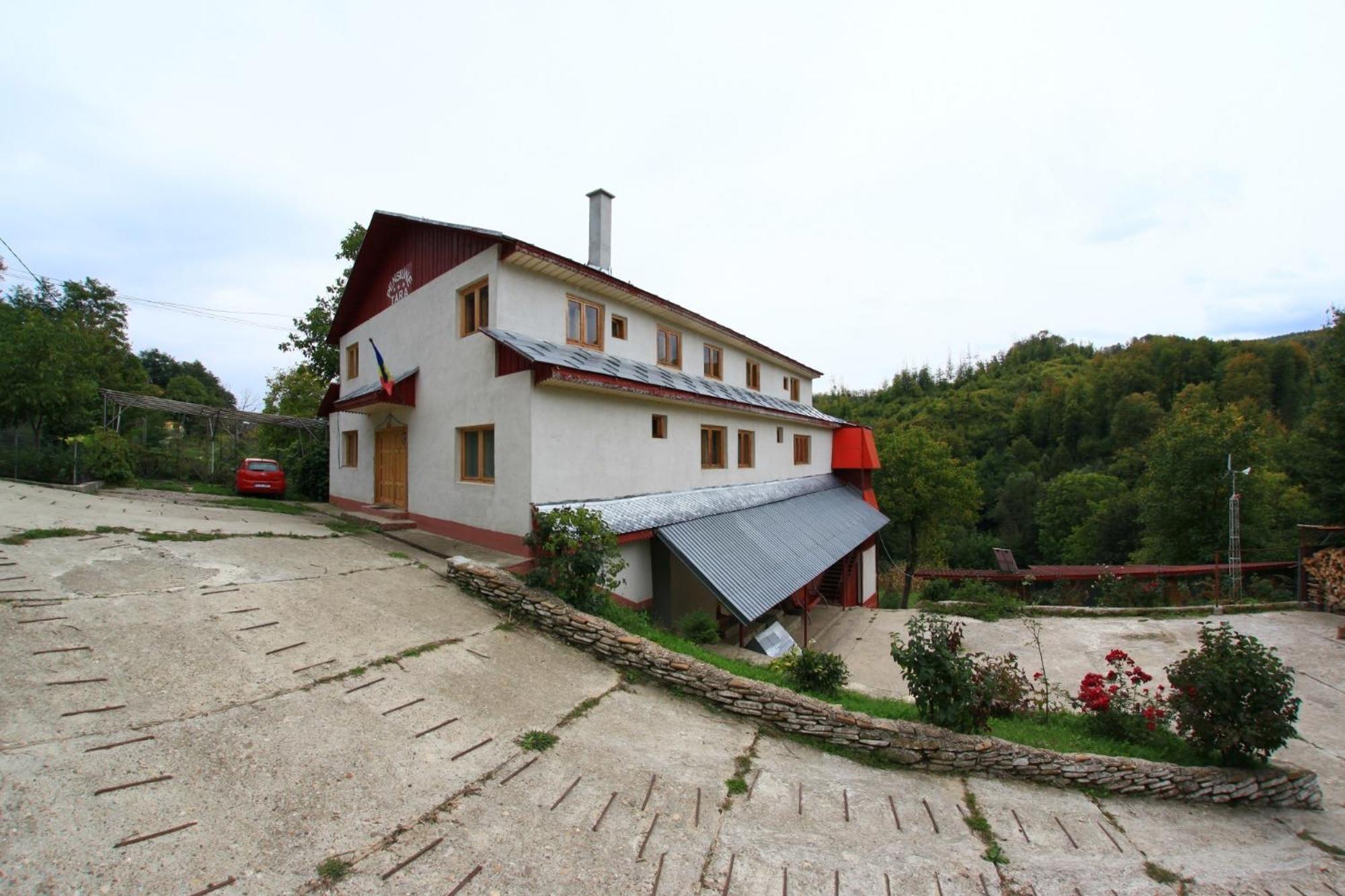 Photo 10