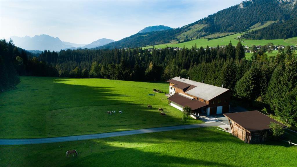Bauernhof Niederfilzboden