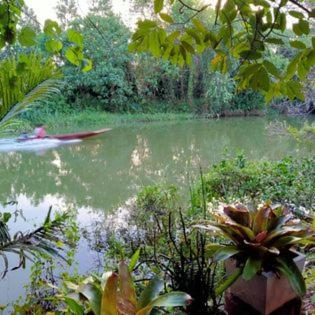 Suankafae Resort สวนกาแฟรีสอร์ท