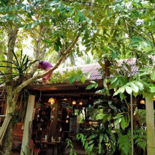 Suankafae Resort สวนกาแฟรีสอร์ท