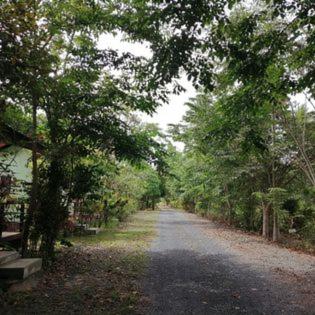 Suankafae Resort สวนกาแฟรีสอร์ท