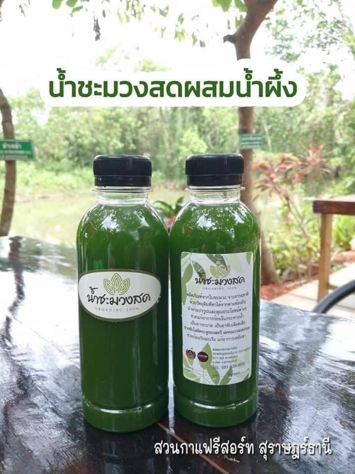Suankafae Resort สวนกาแฟรีสอร์ท