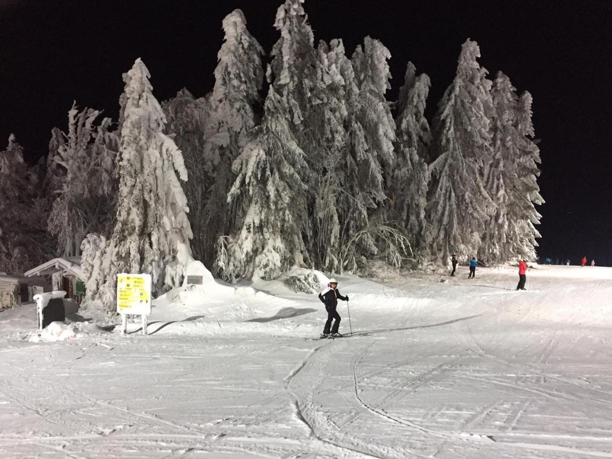 Waldheimat