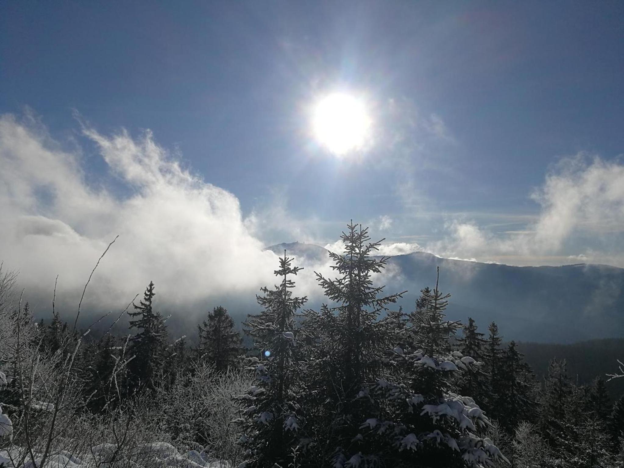 Waldheimat