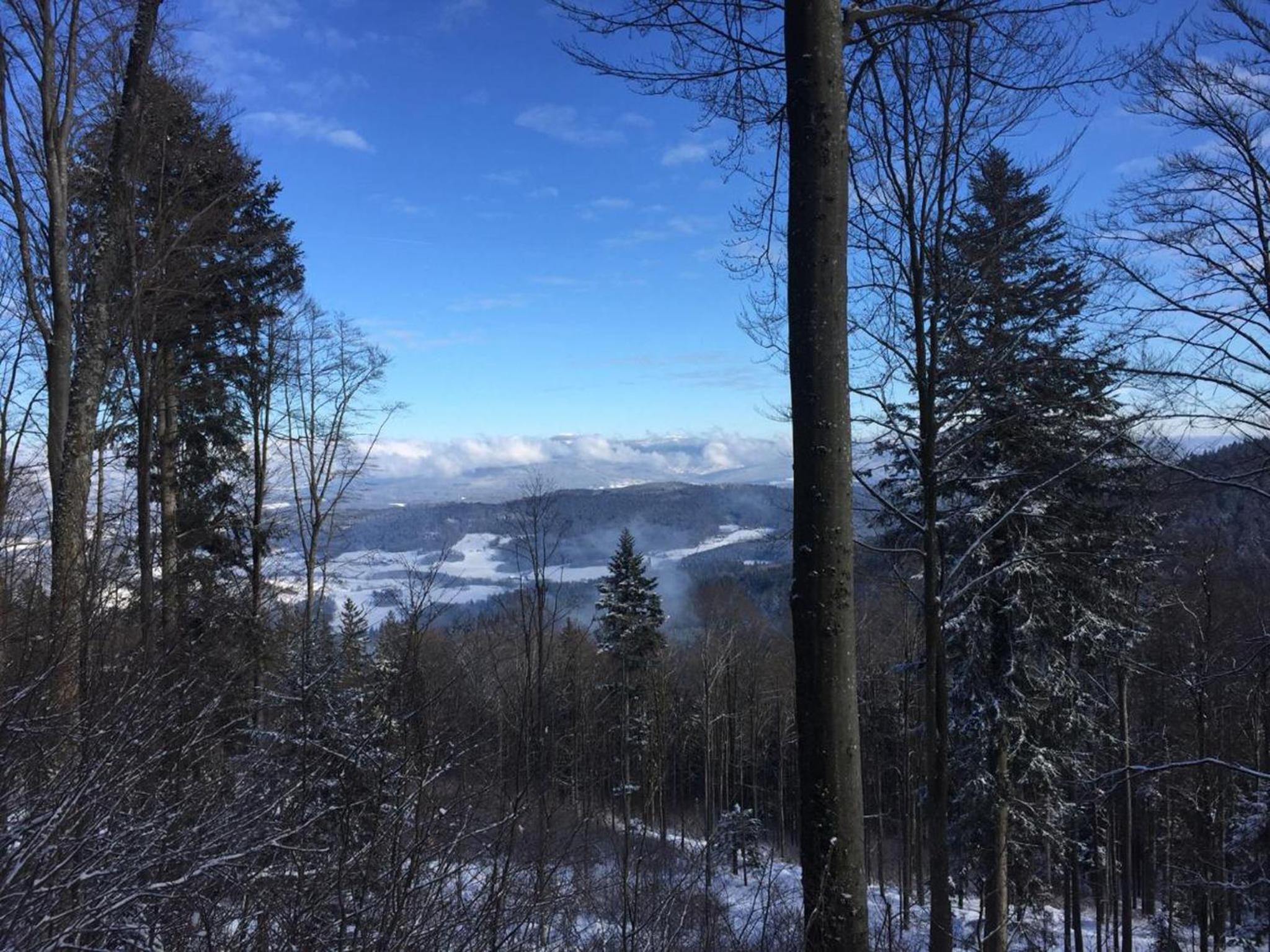 Waldheimat