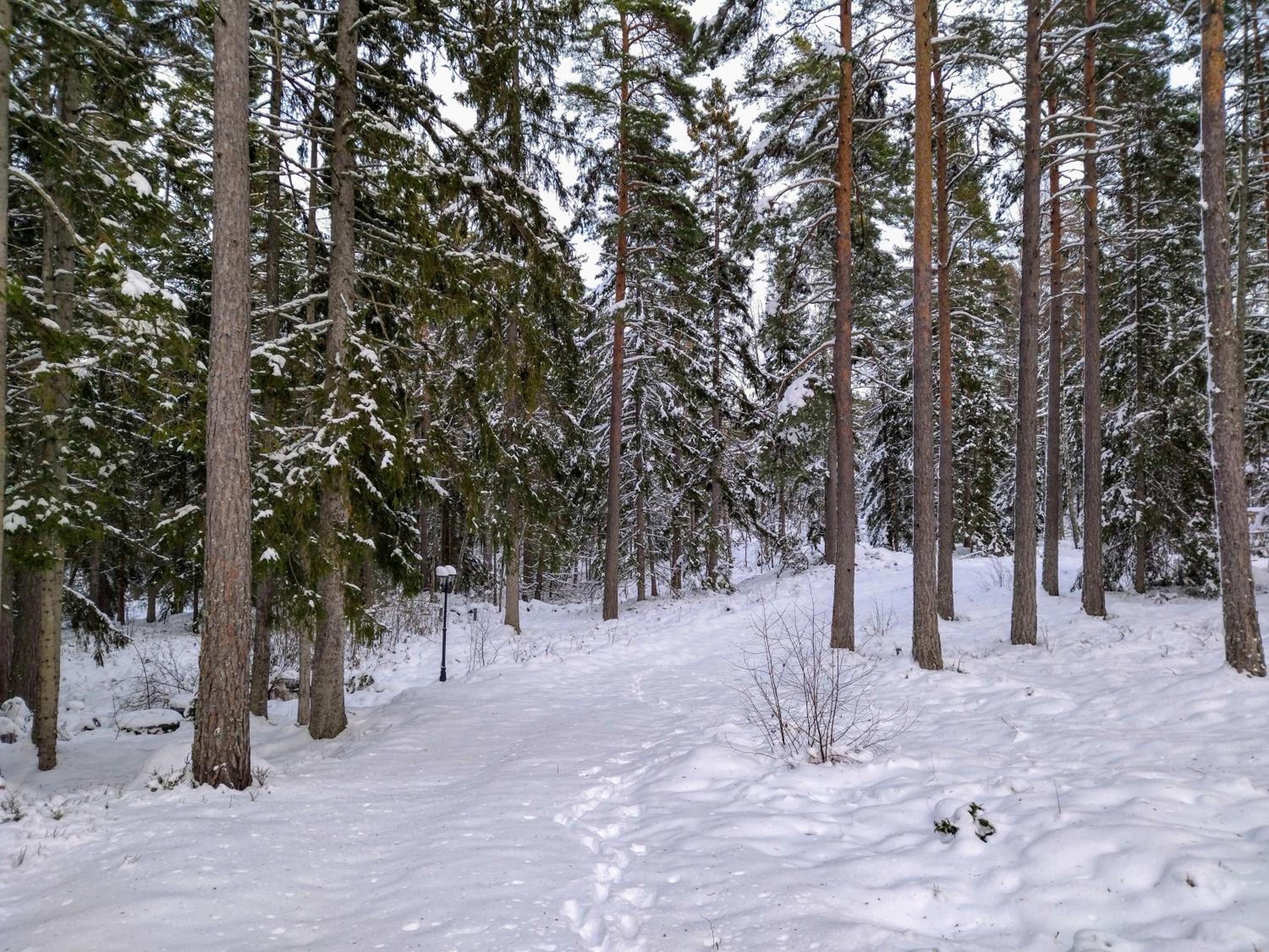 Photo 45