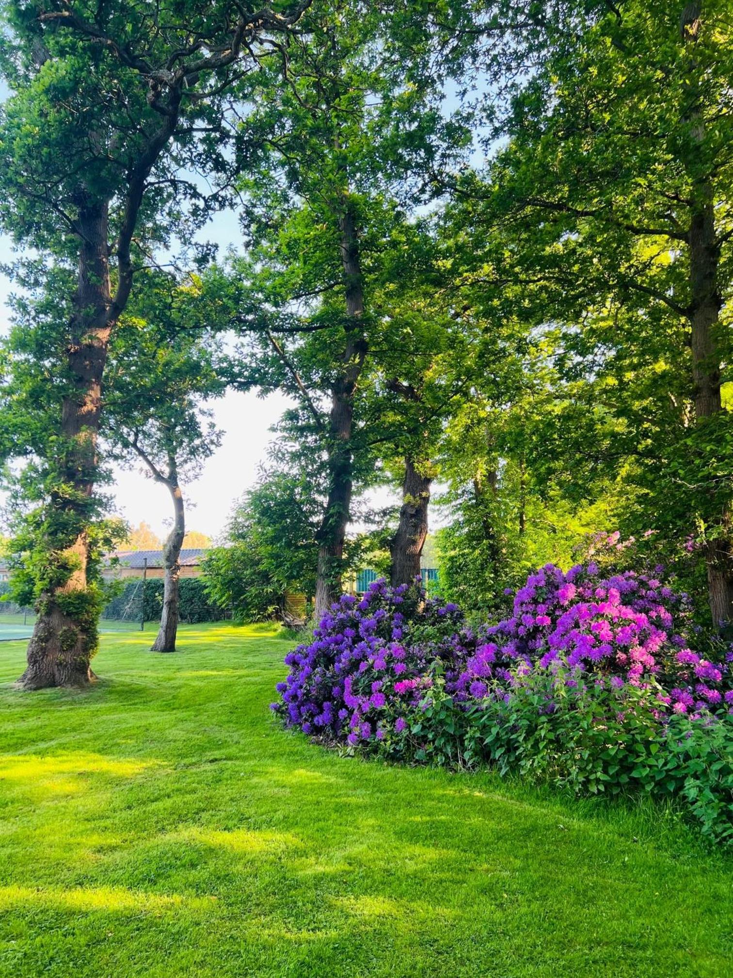 Guildford Vacations - Whitmoor Farm - Property Image 23