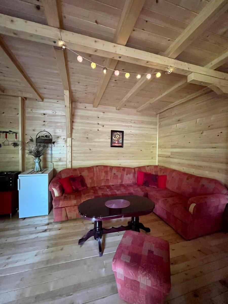 Apartman Mendrea view 3