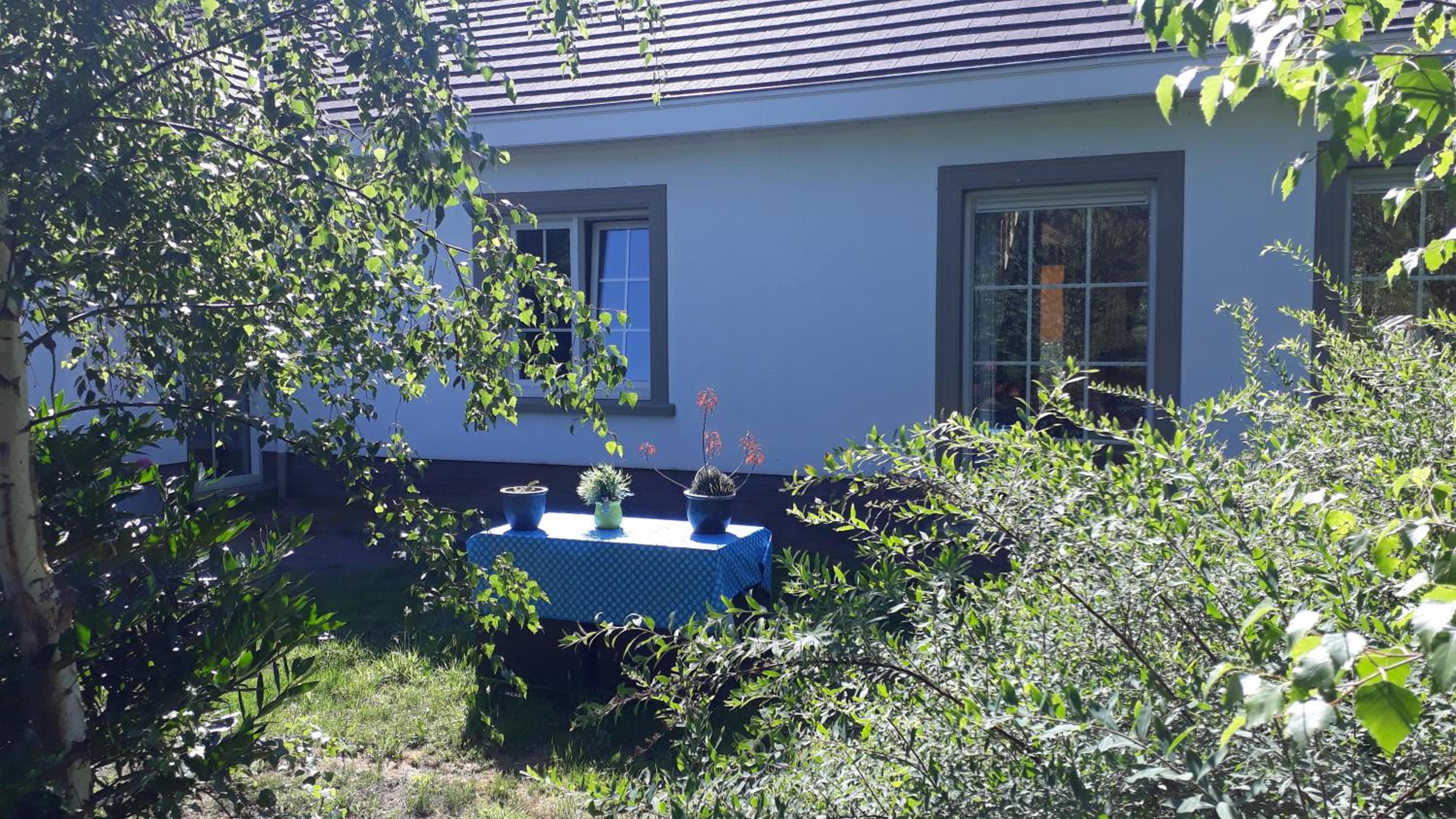 B&B de (S)tulp