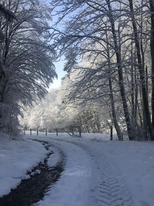 Naturnah in Hellenthal