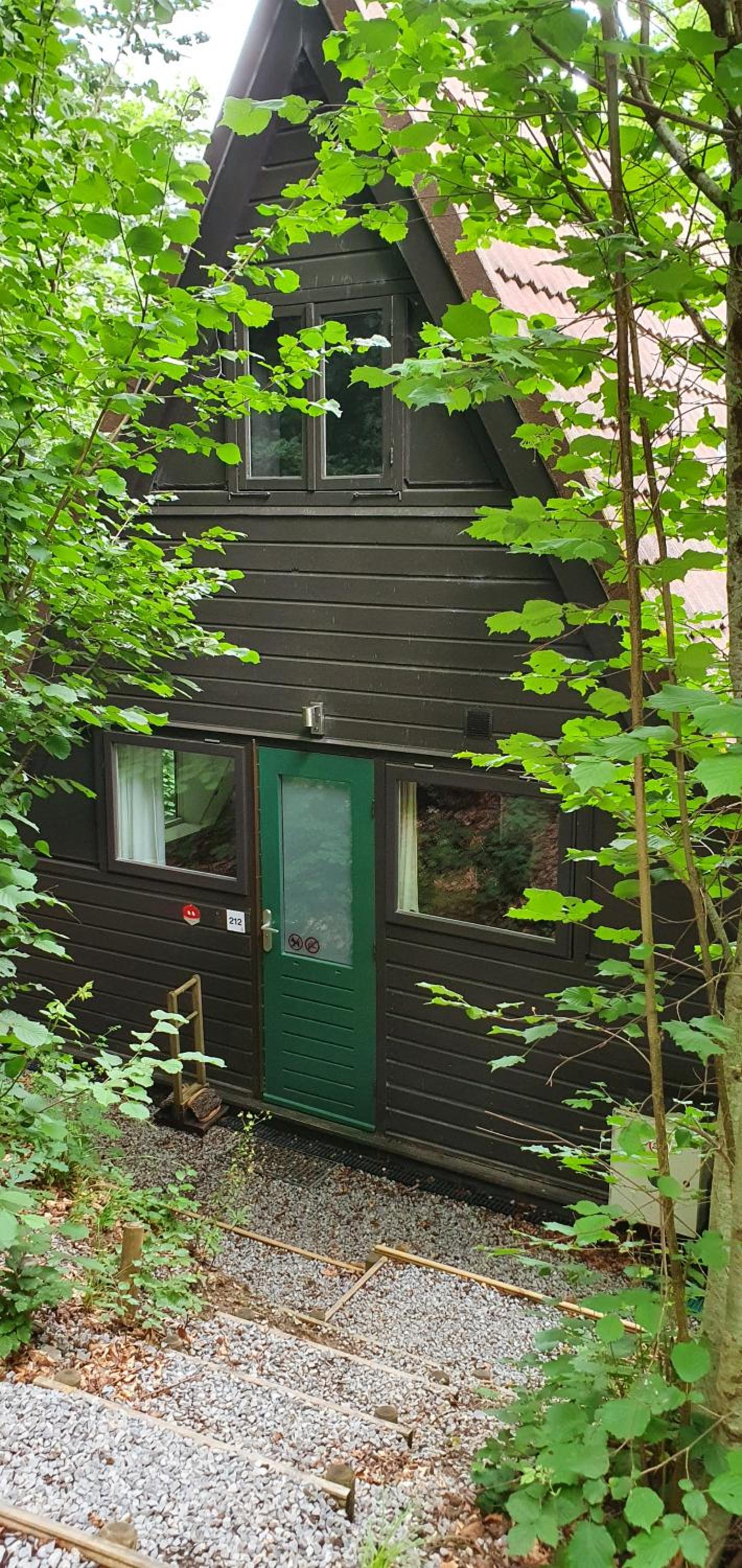 Photo 15