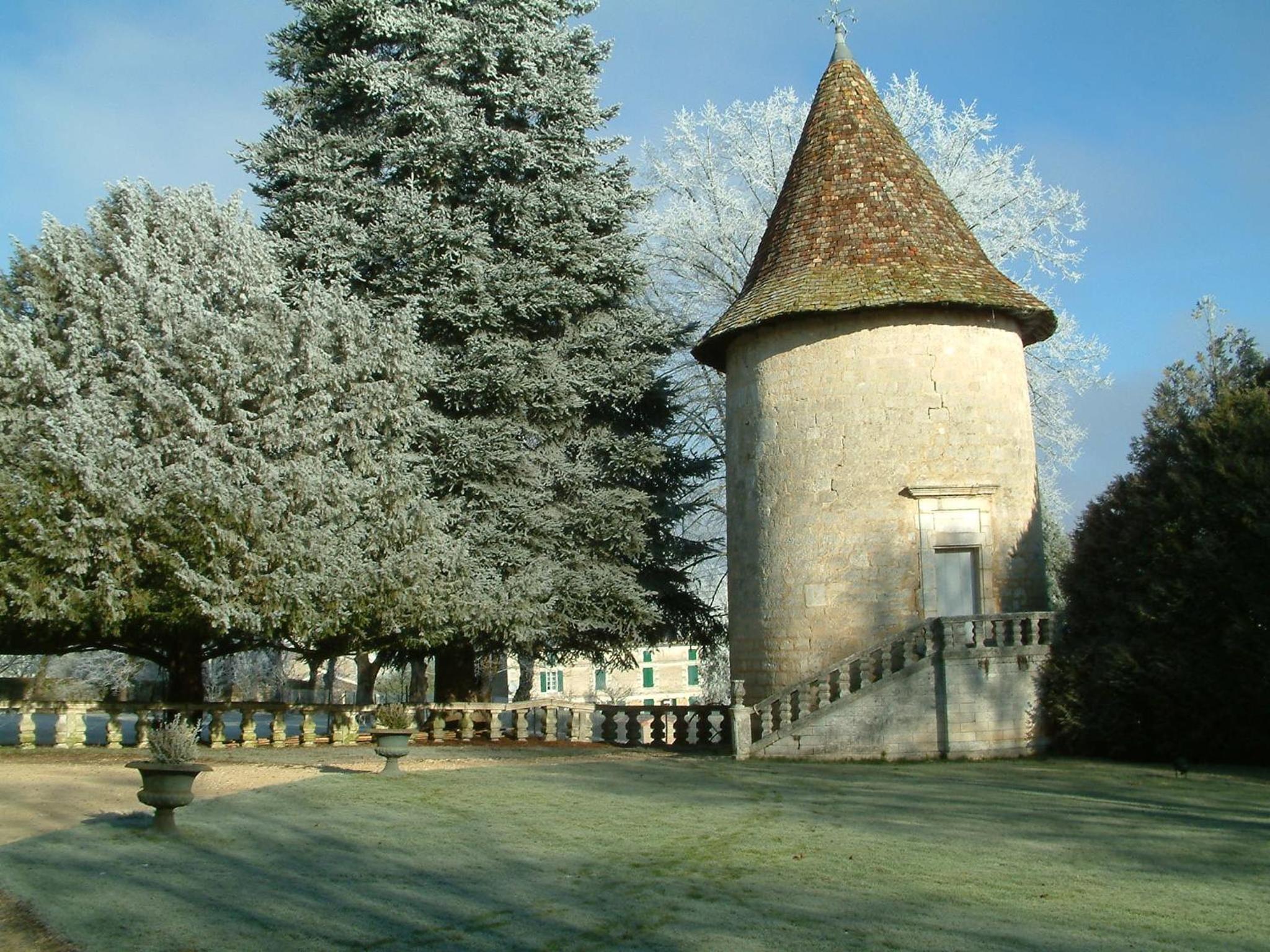 Photo 31