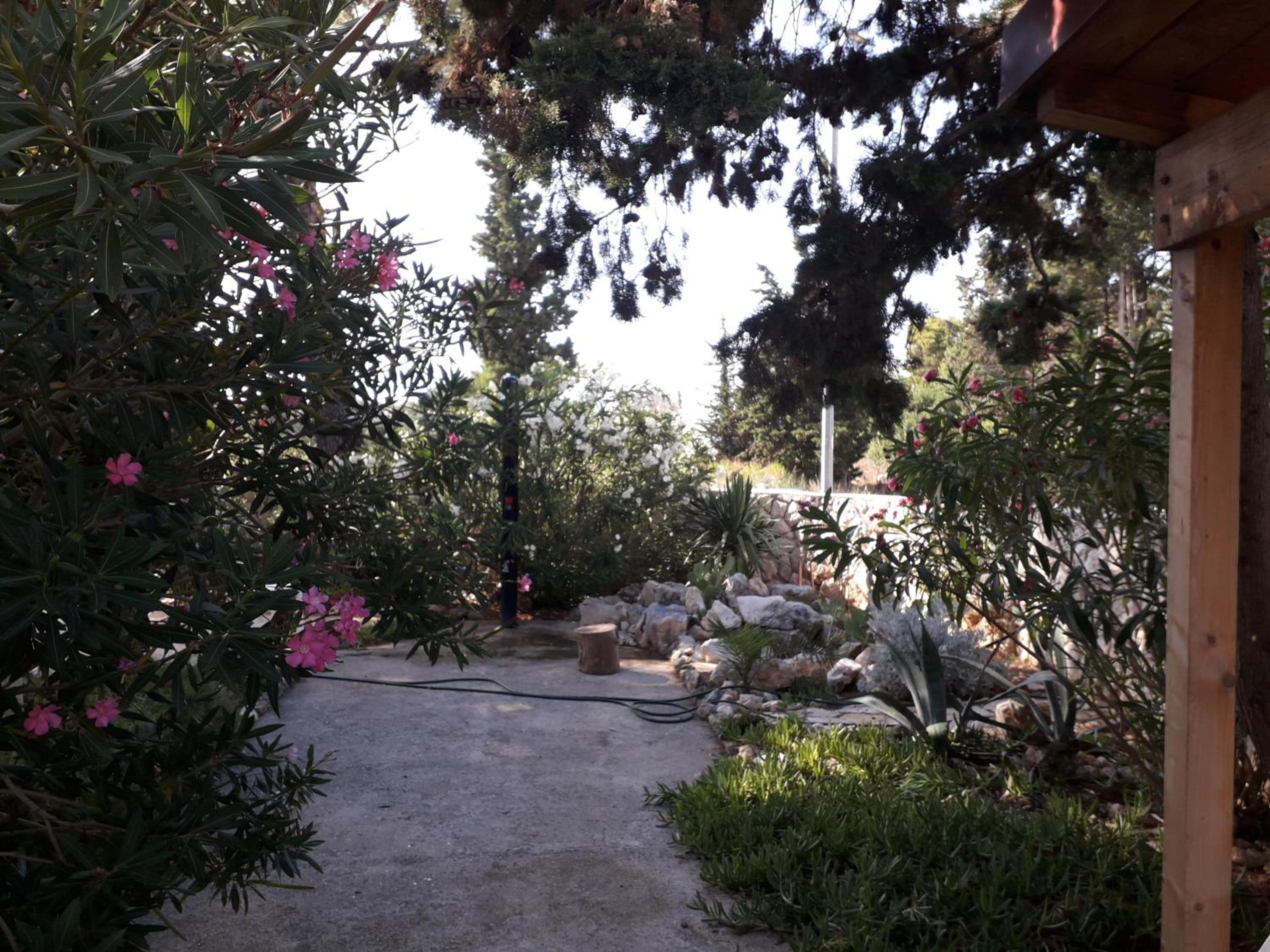 Photo 36