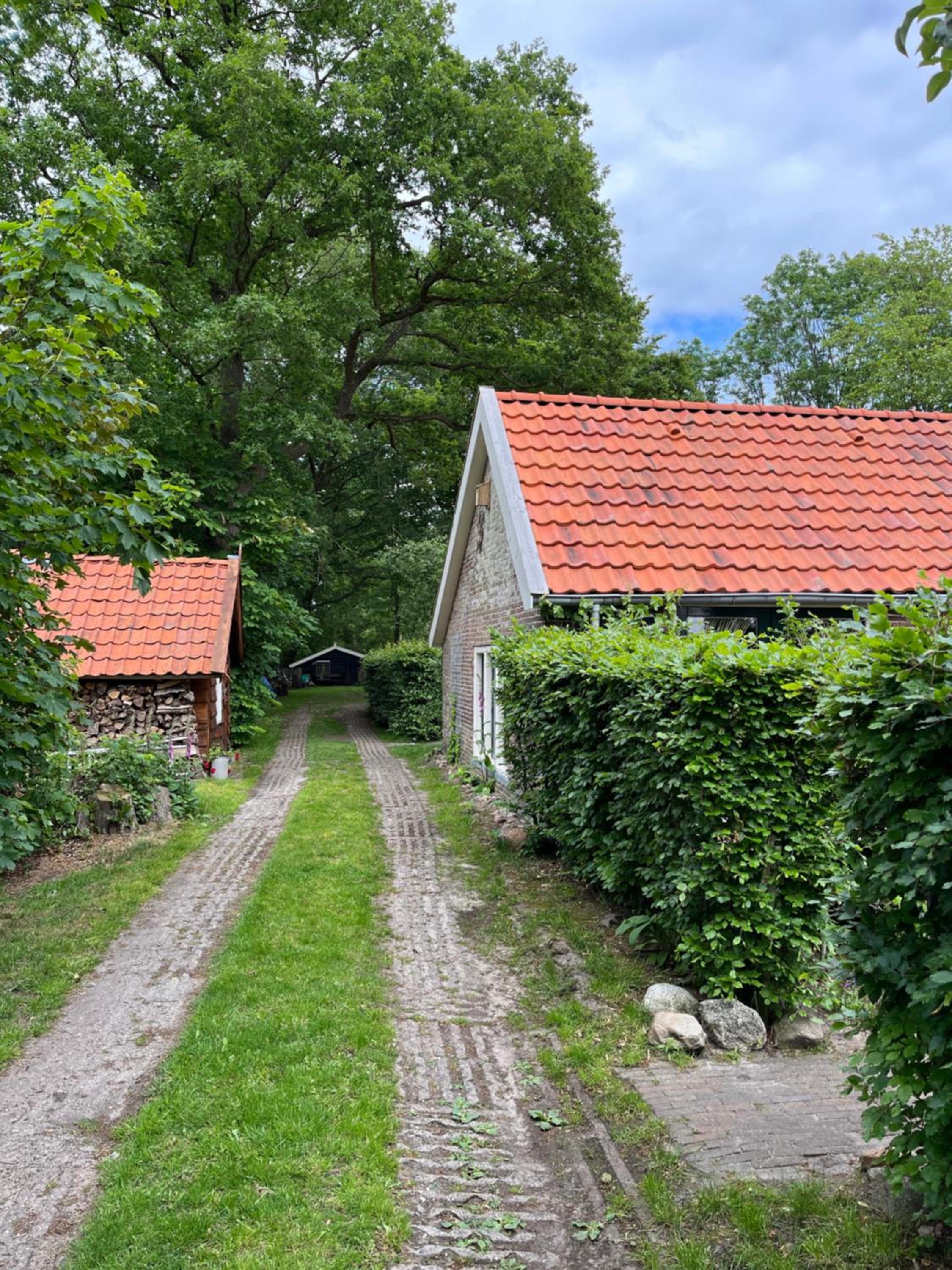 Photo 18