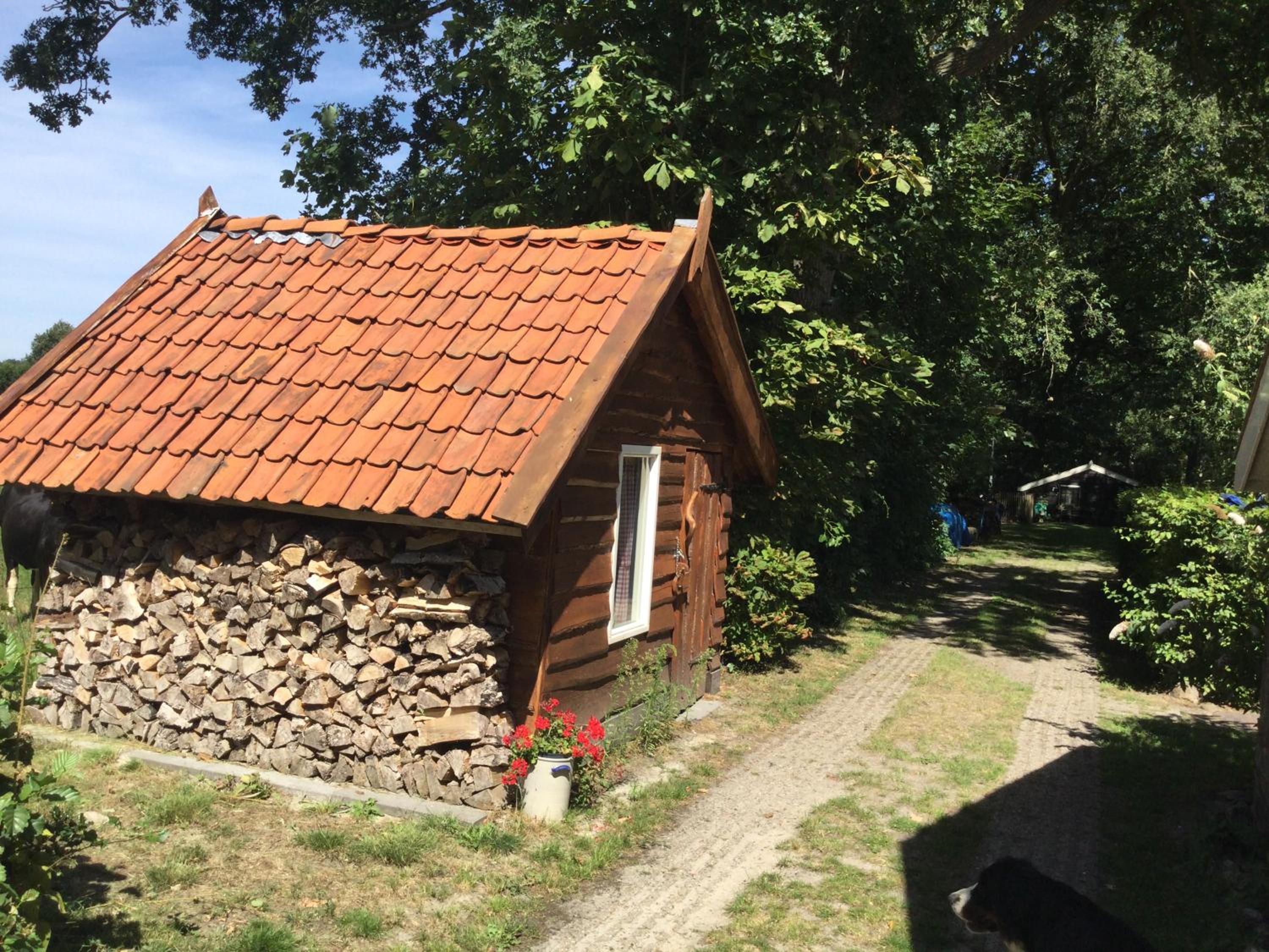 Photo 19