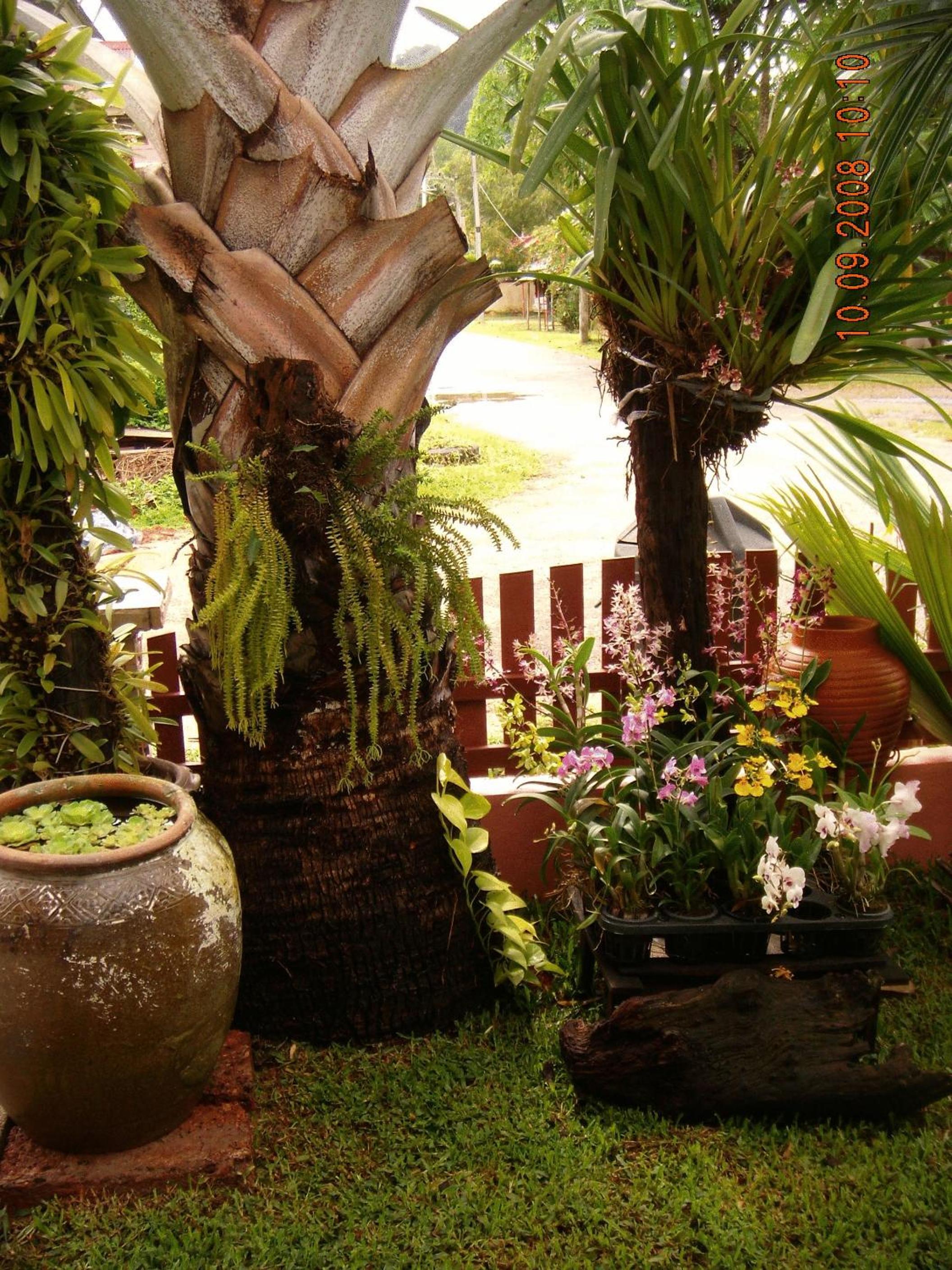 Ao Nang Home Stay - Adults Only