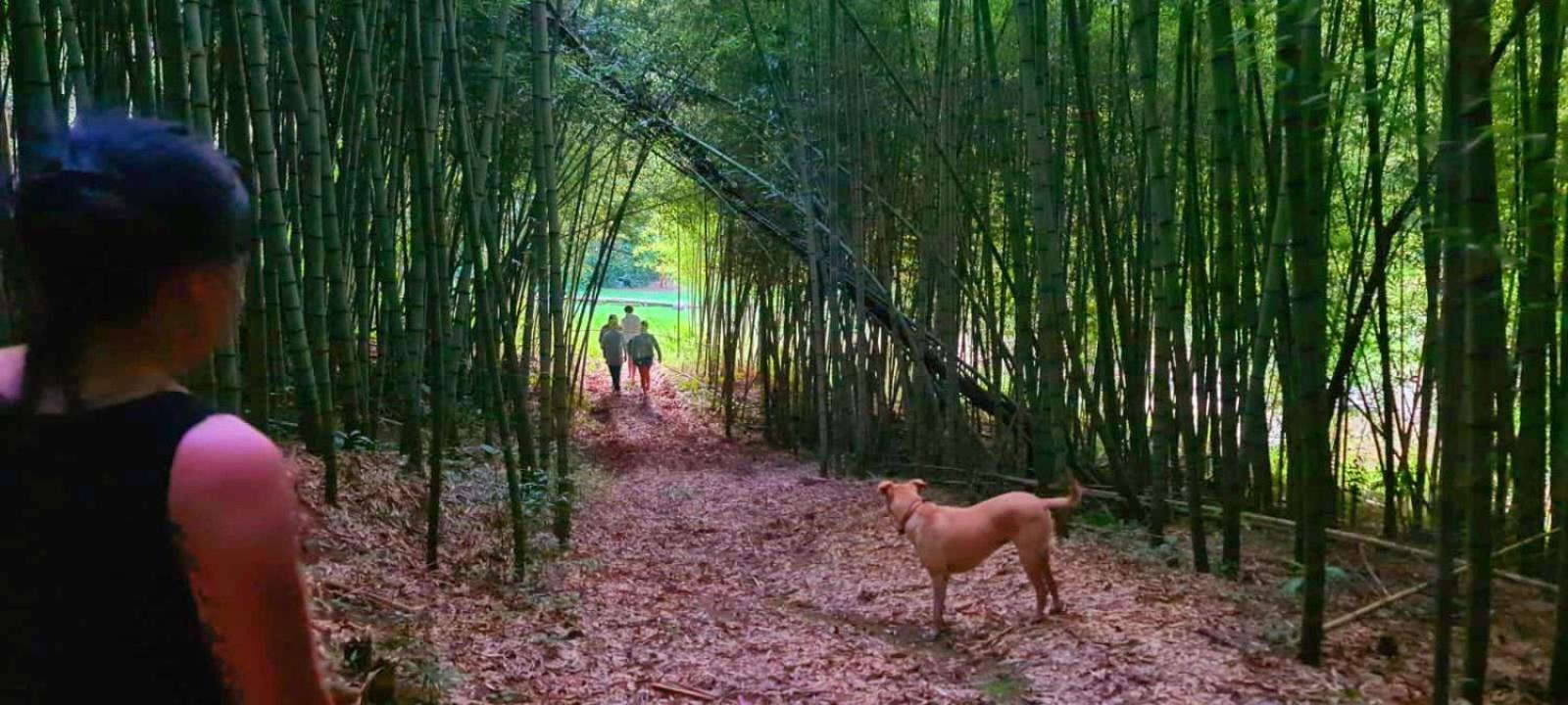 Pousada Green Valley