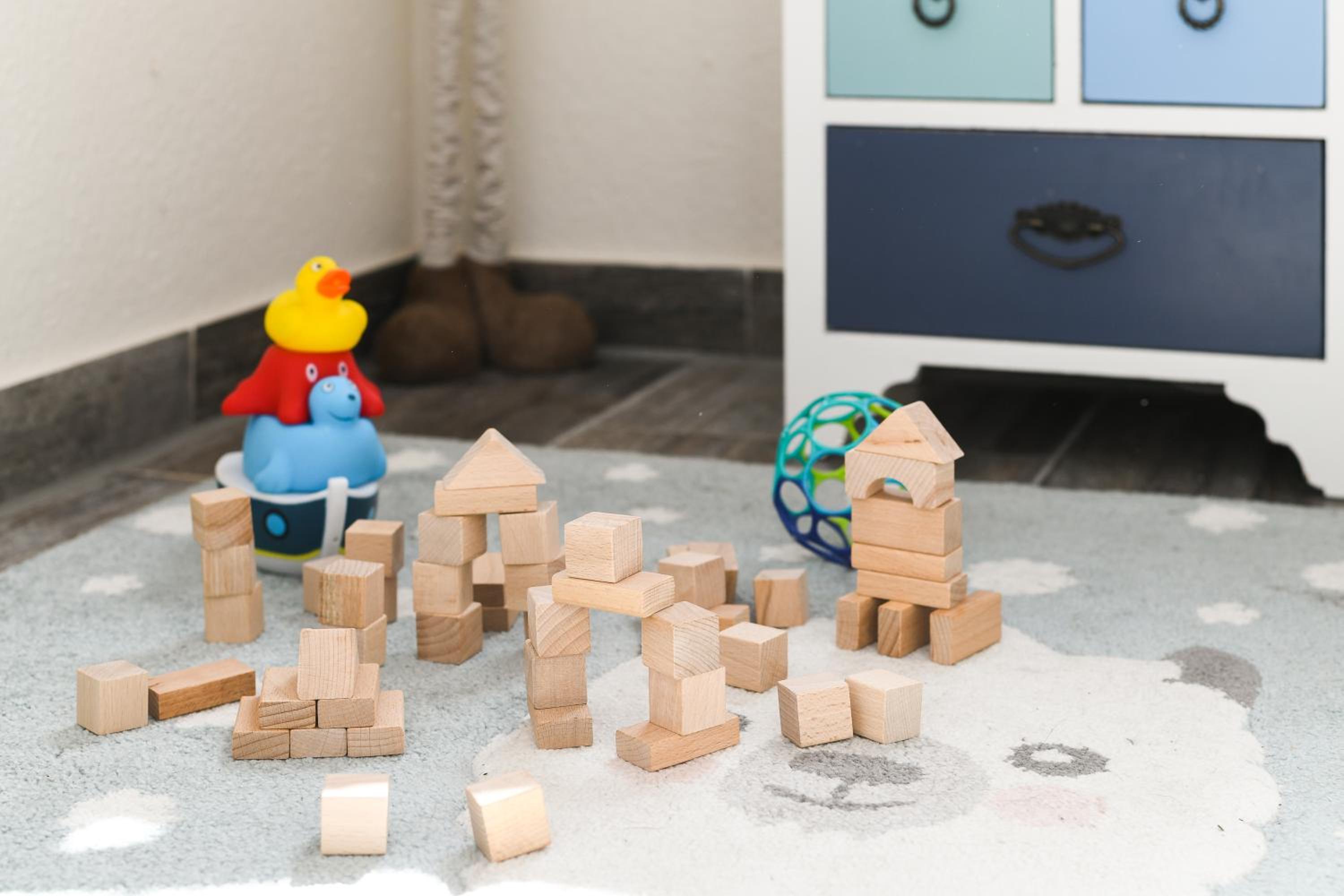 Ferienwohnung Kiebitz