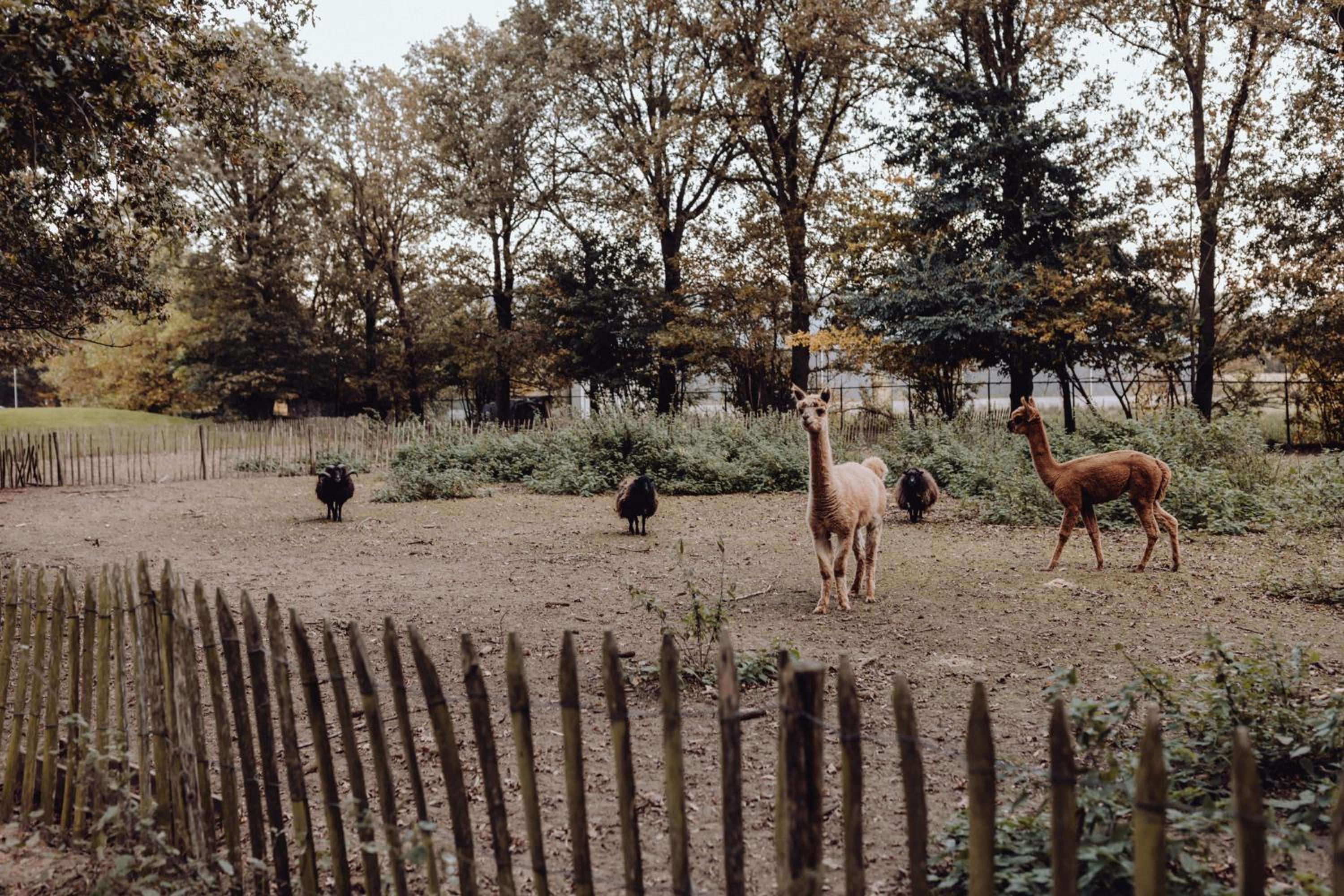 Het Hilkensberg Park