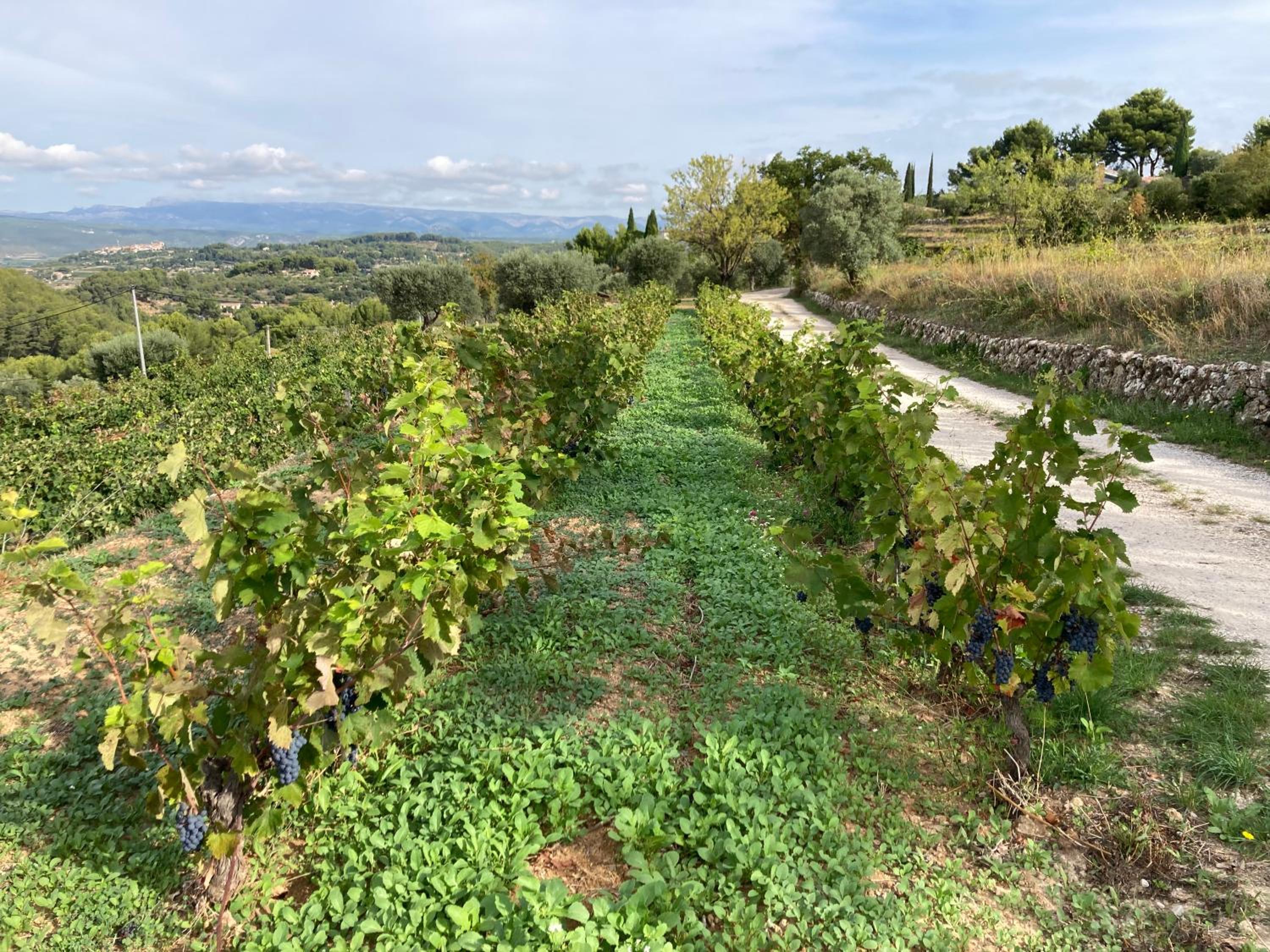 Castel'lodge view 5