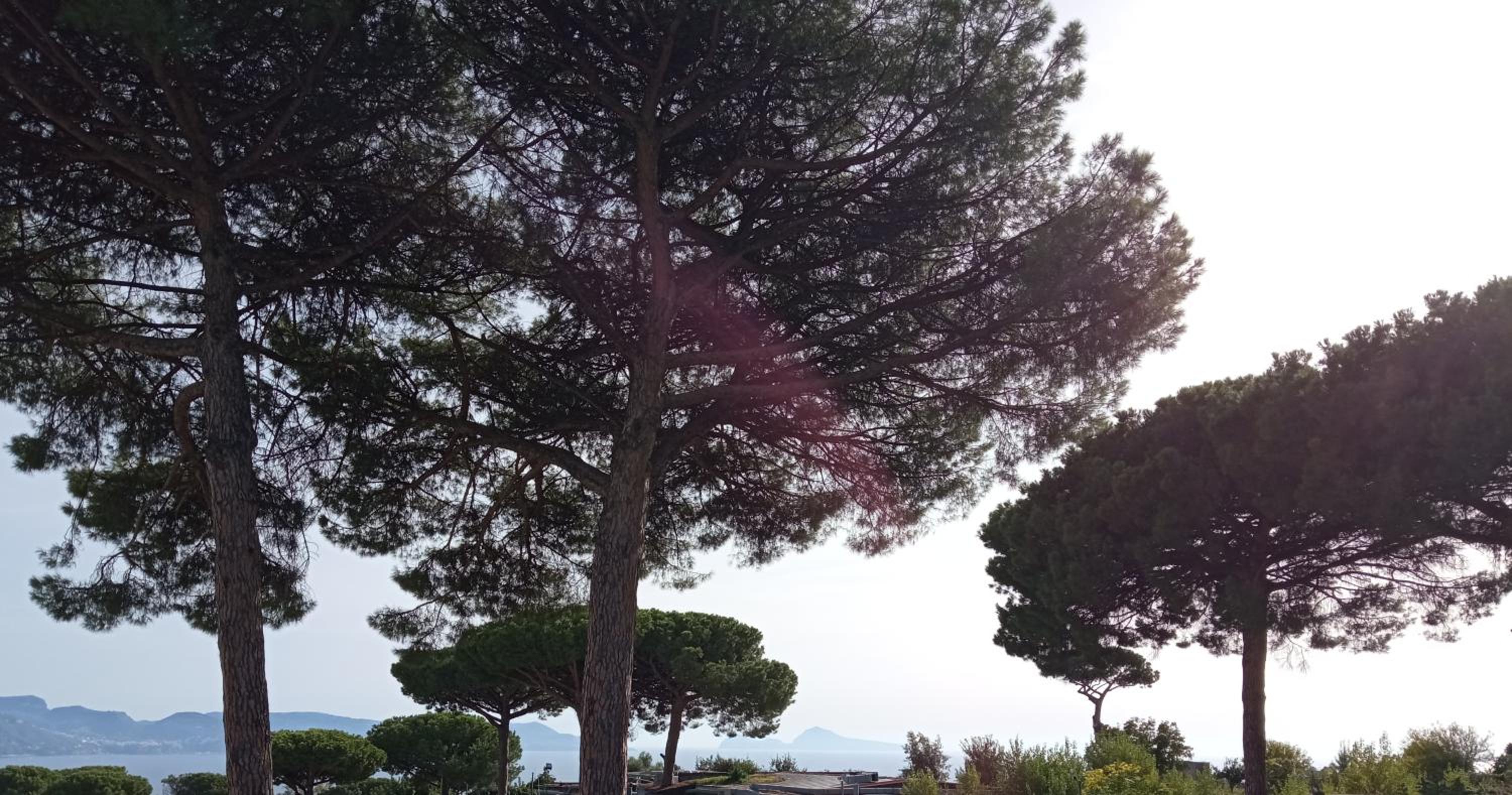 Vesuvio Casa de Charme view 3