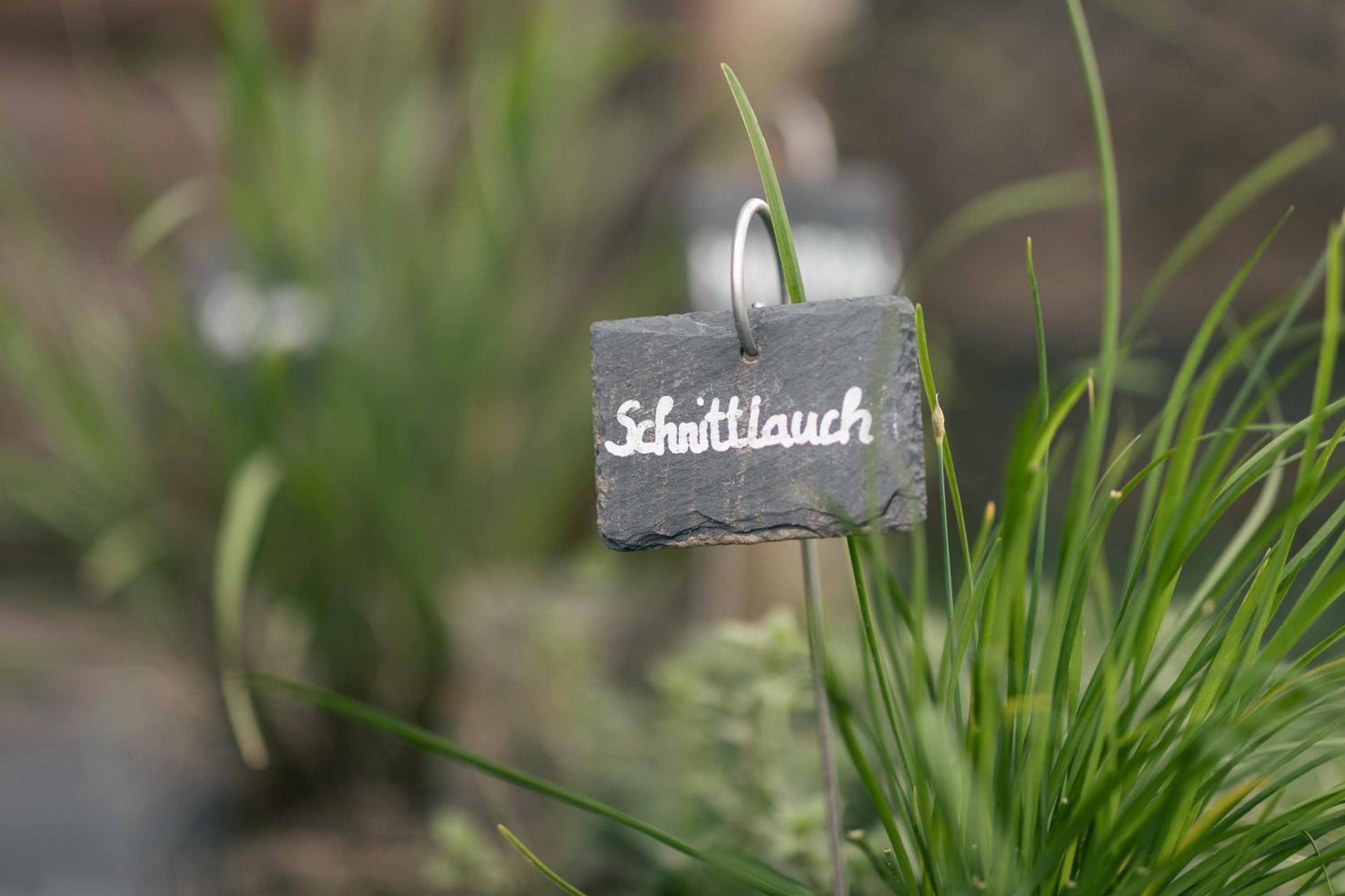 Landhaus Holzer